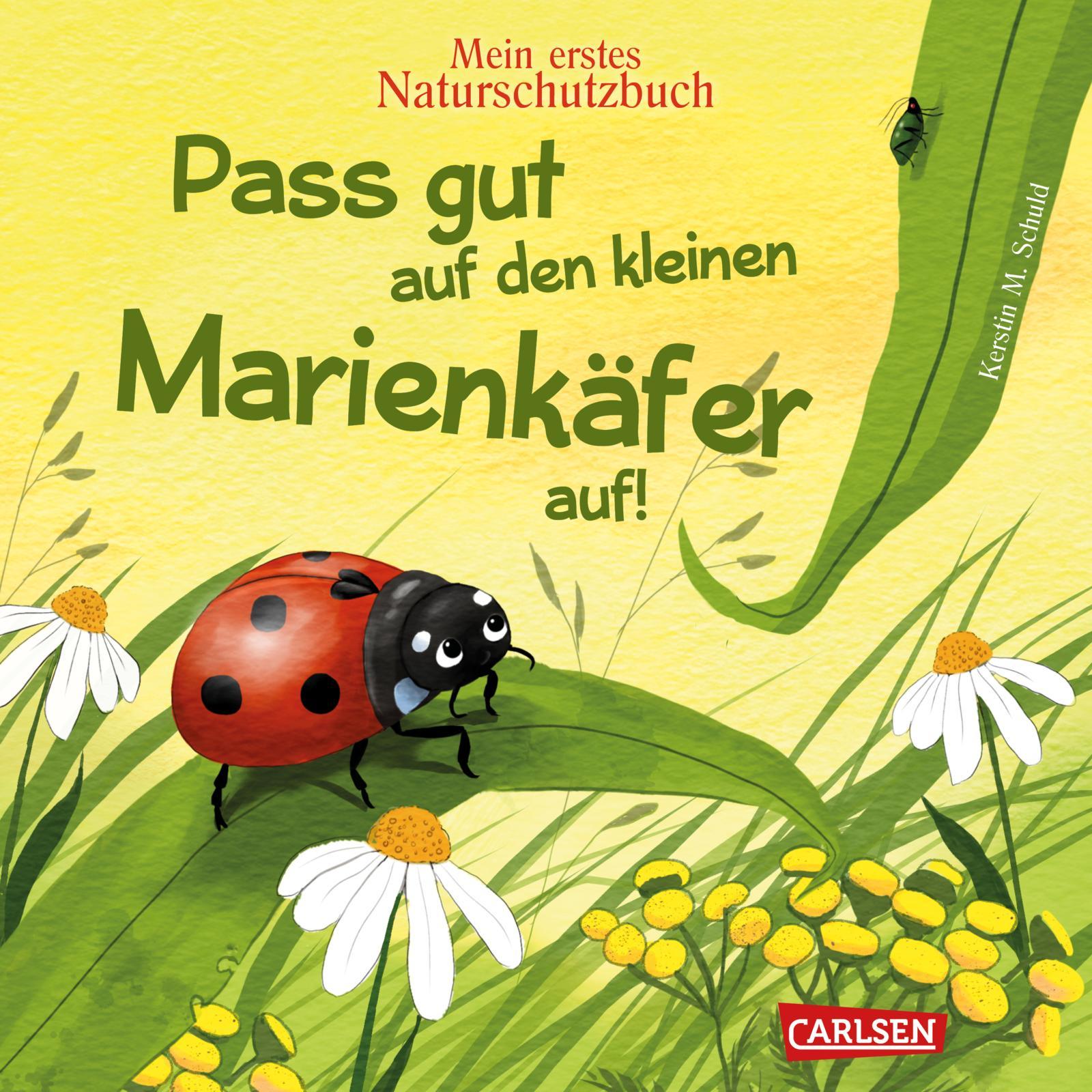 Vorderes Coverbild Pass gut auf den kleinen Marienkäfer auf