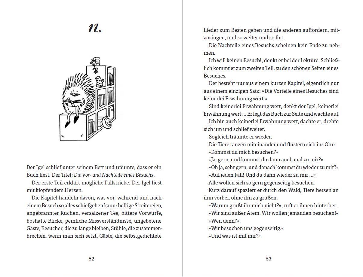 Beispielinhalt (Bild) Die Sehnsucht des Igels
