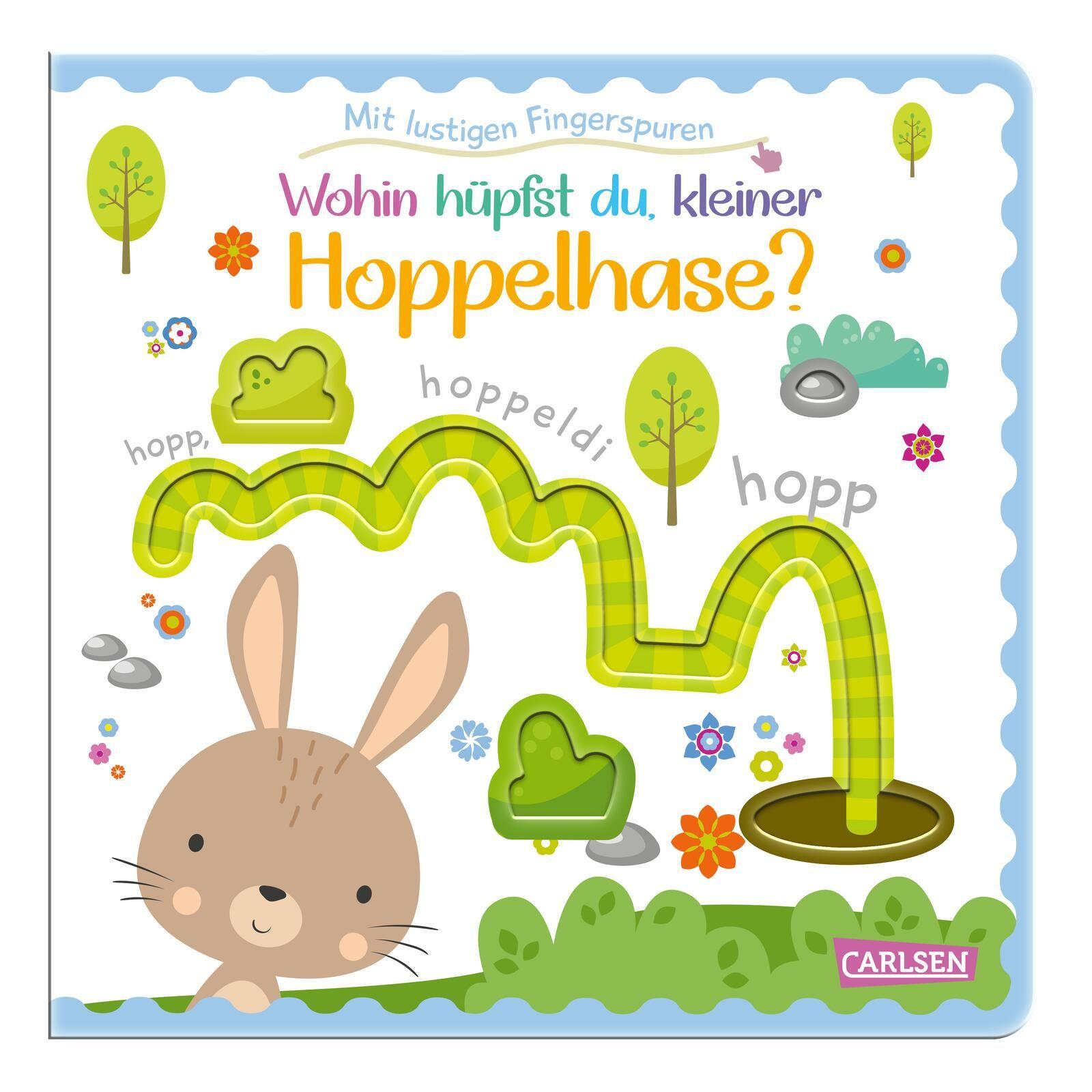 Vorderes Coverbild Wohin hüpfst du, kleiner Hoppelhase?