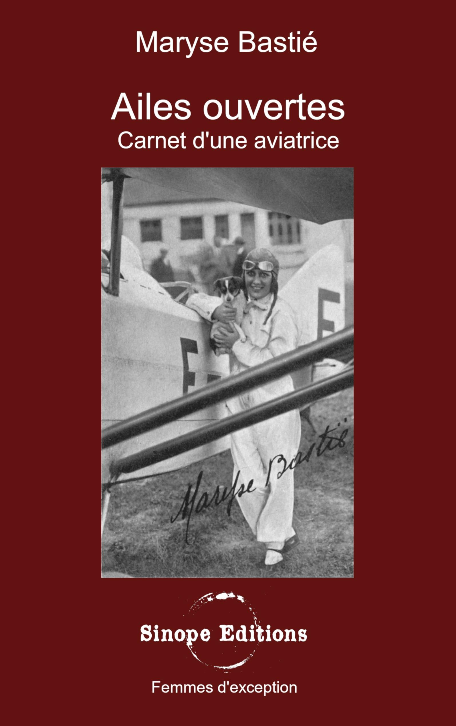 Vorderes Coverbild Ailes ouvertes