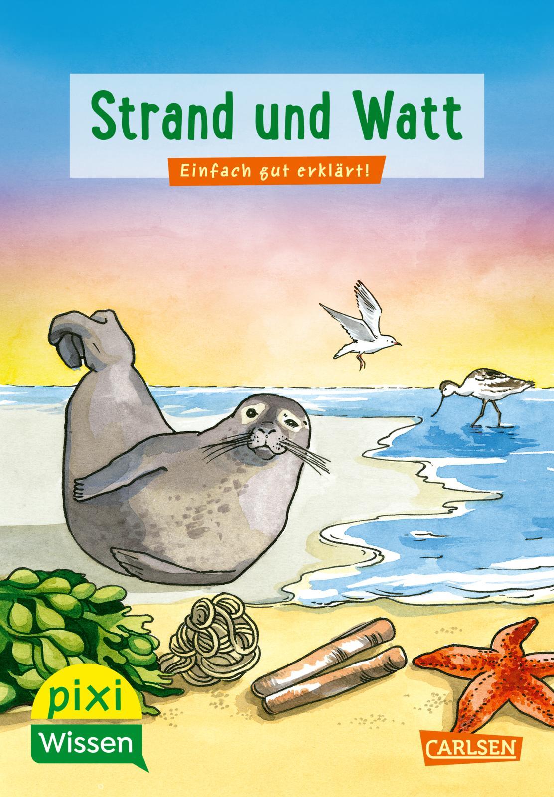 Vorderes Coverbild Pixi Wissen 33: VE 5 Strand und Watt