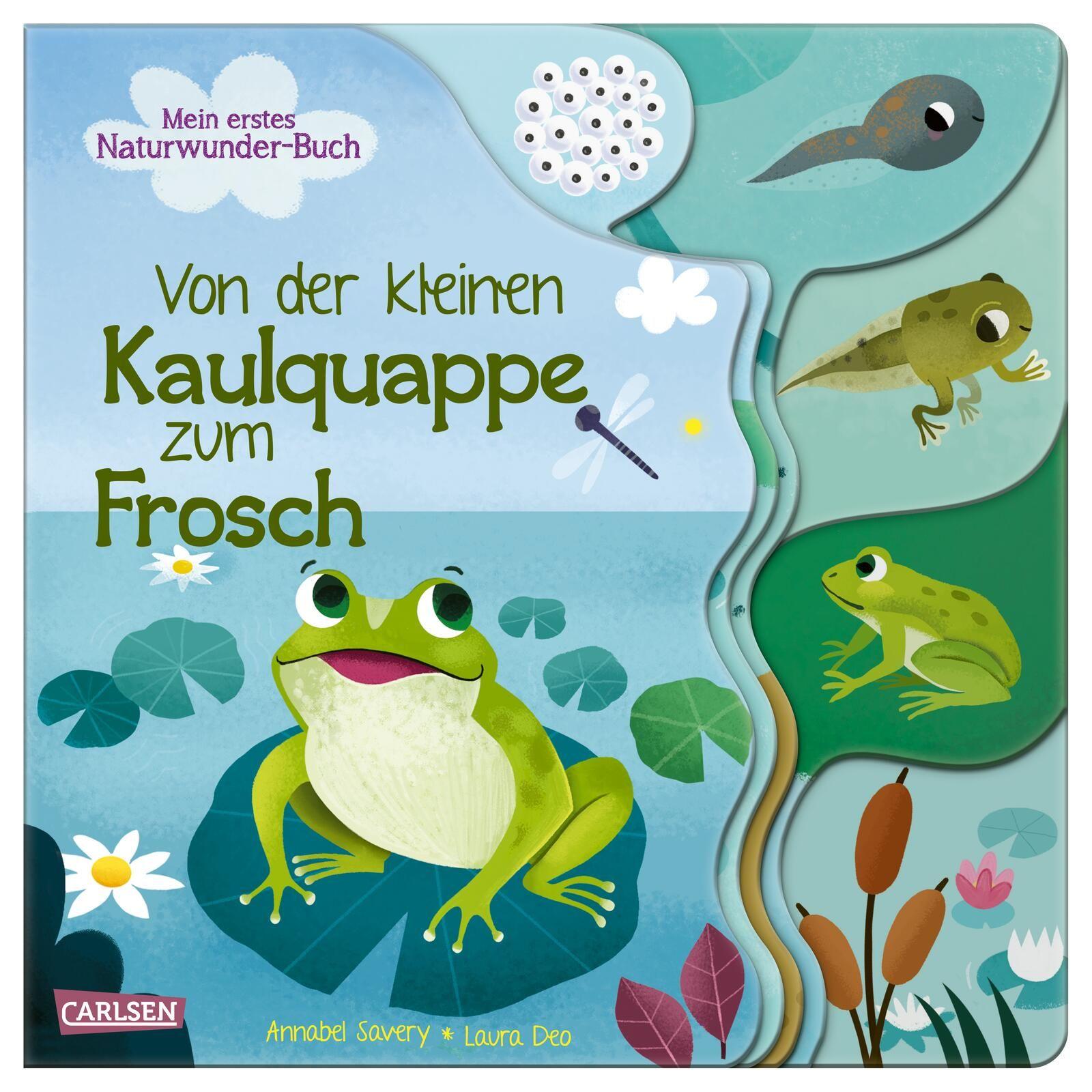 Vorderes Coverbild Von der kleinen Kaulquappe zum Frosch
