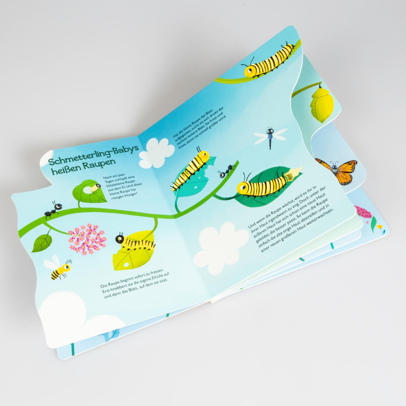 Beispielinhalt (Bild) Von der kleinen Raupe zum Schmetterling