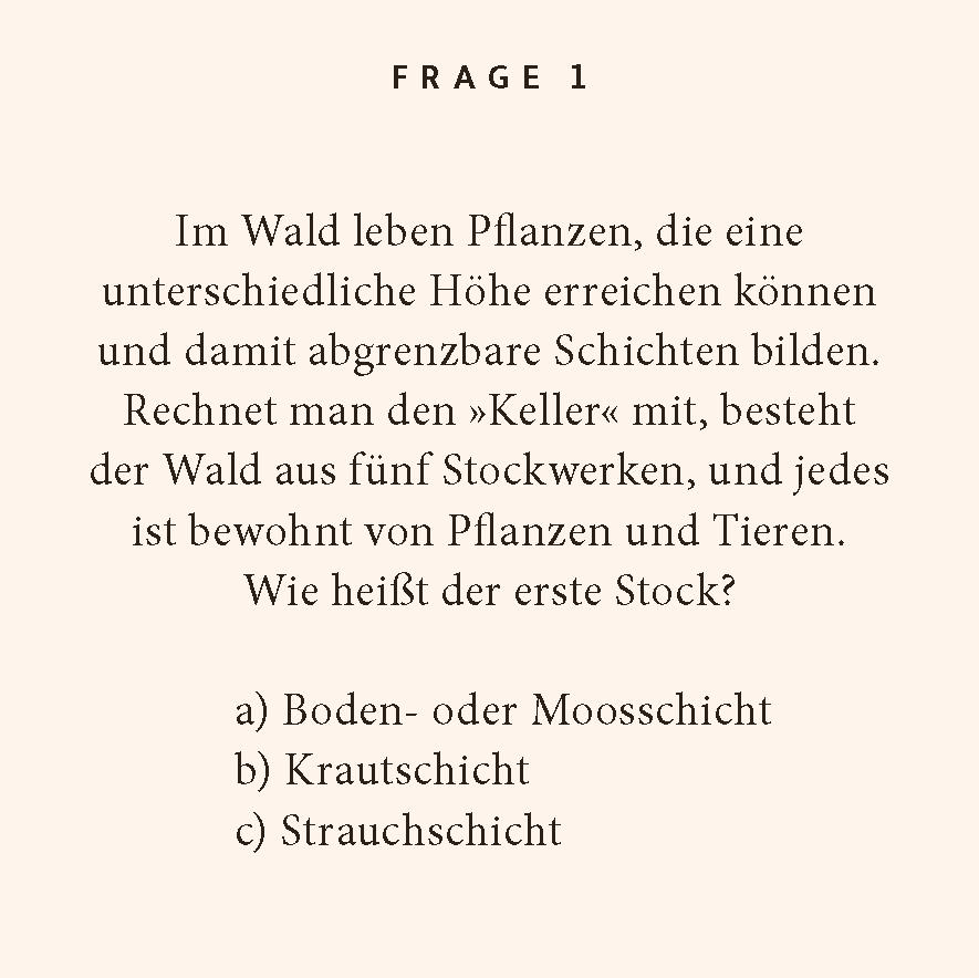 Beispielinhalt (Bild) Wald-Quiz