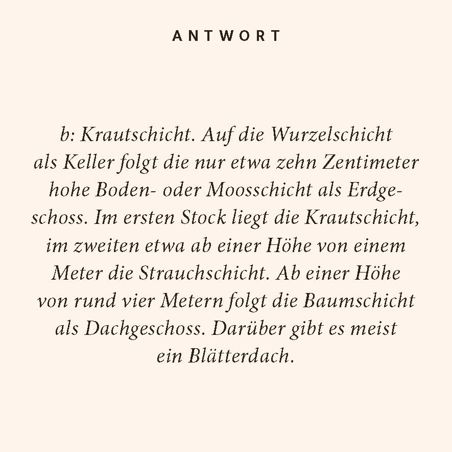 Beispielinhalt (Bild) Wald-Quiz