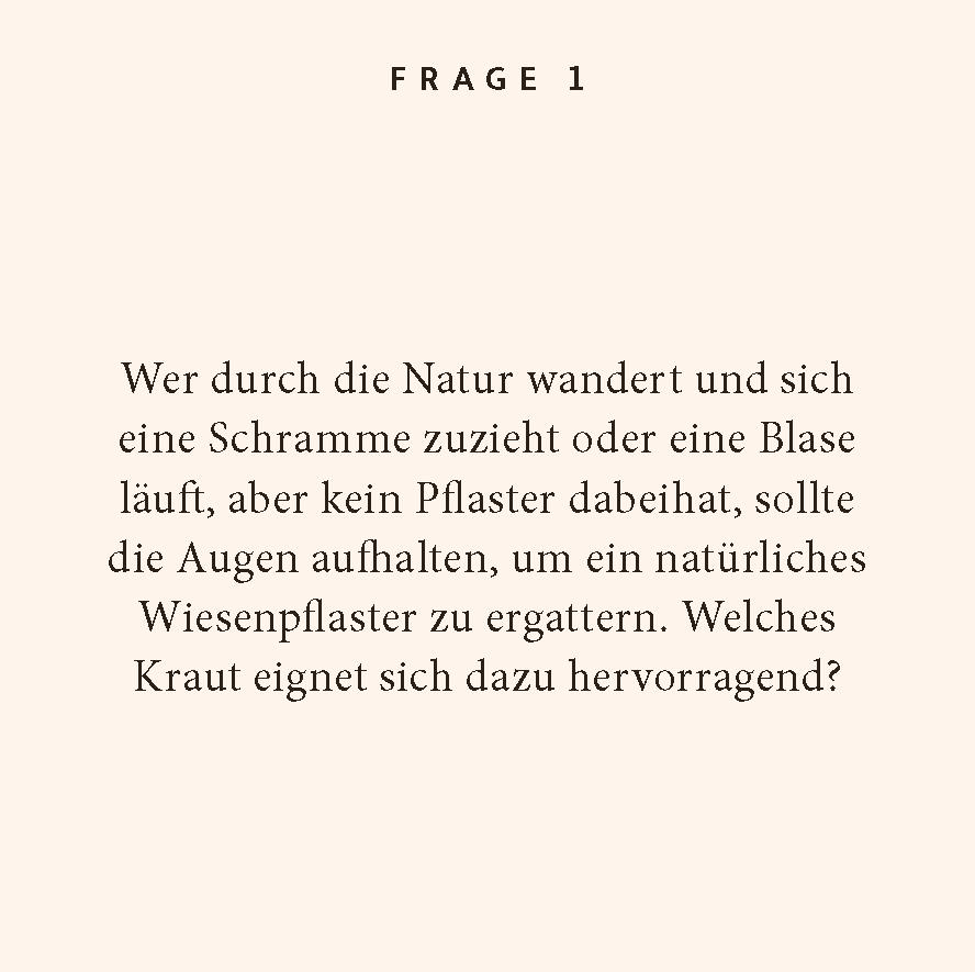 Beispielinhalt (Bild) Kräuter-Quiz