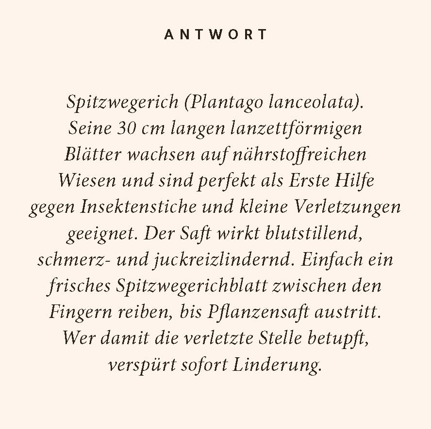 Beispielinhalt (Bild) Kräuter-Quiz