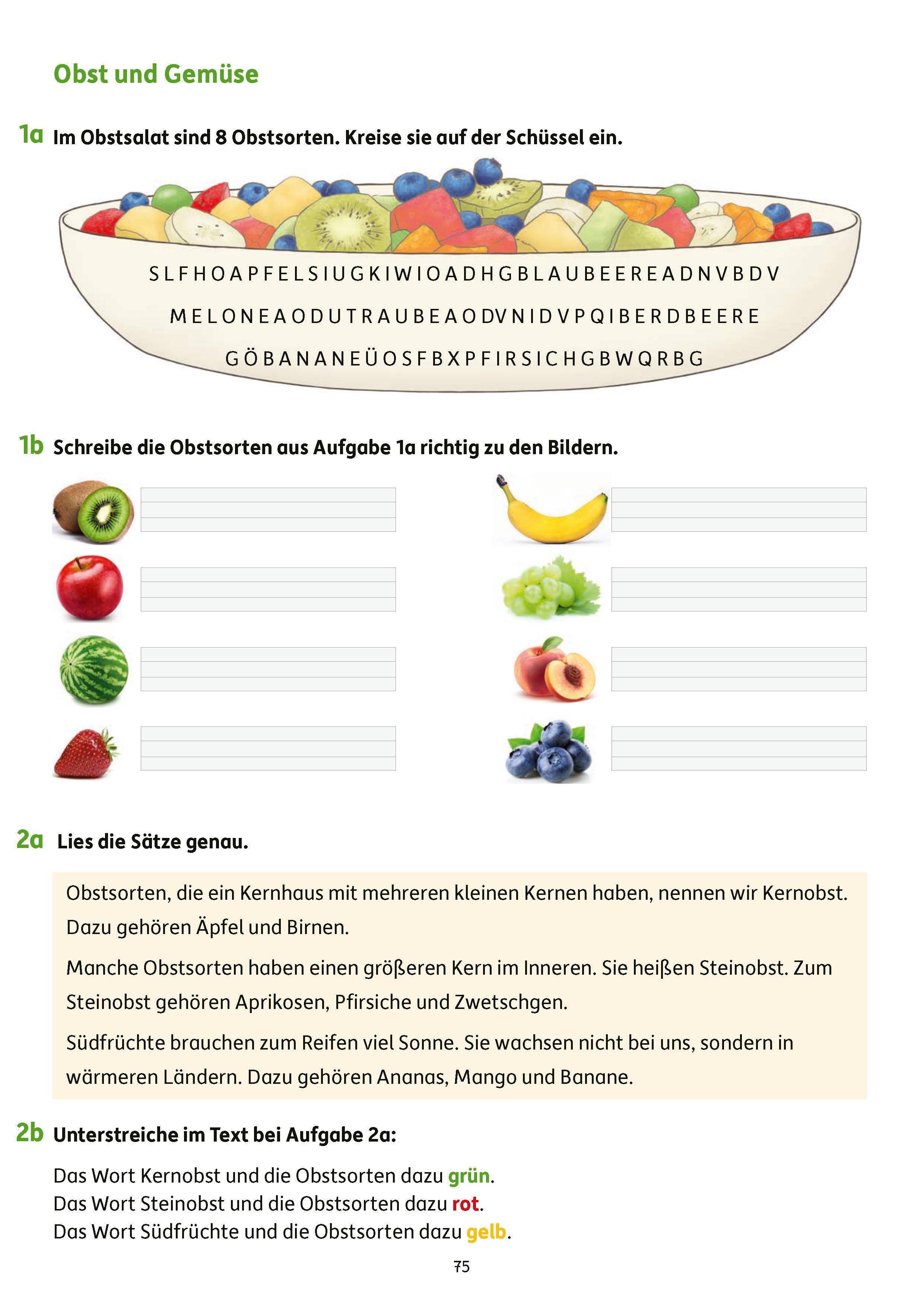 Beispielinhalt (Bild) Erfolgreich durch die 2. Klasse - Mathe, Deutsch, Sachunterricht