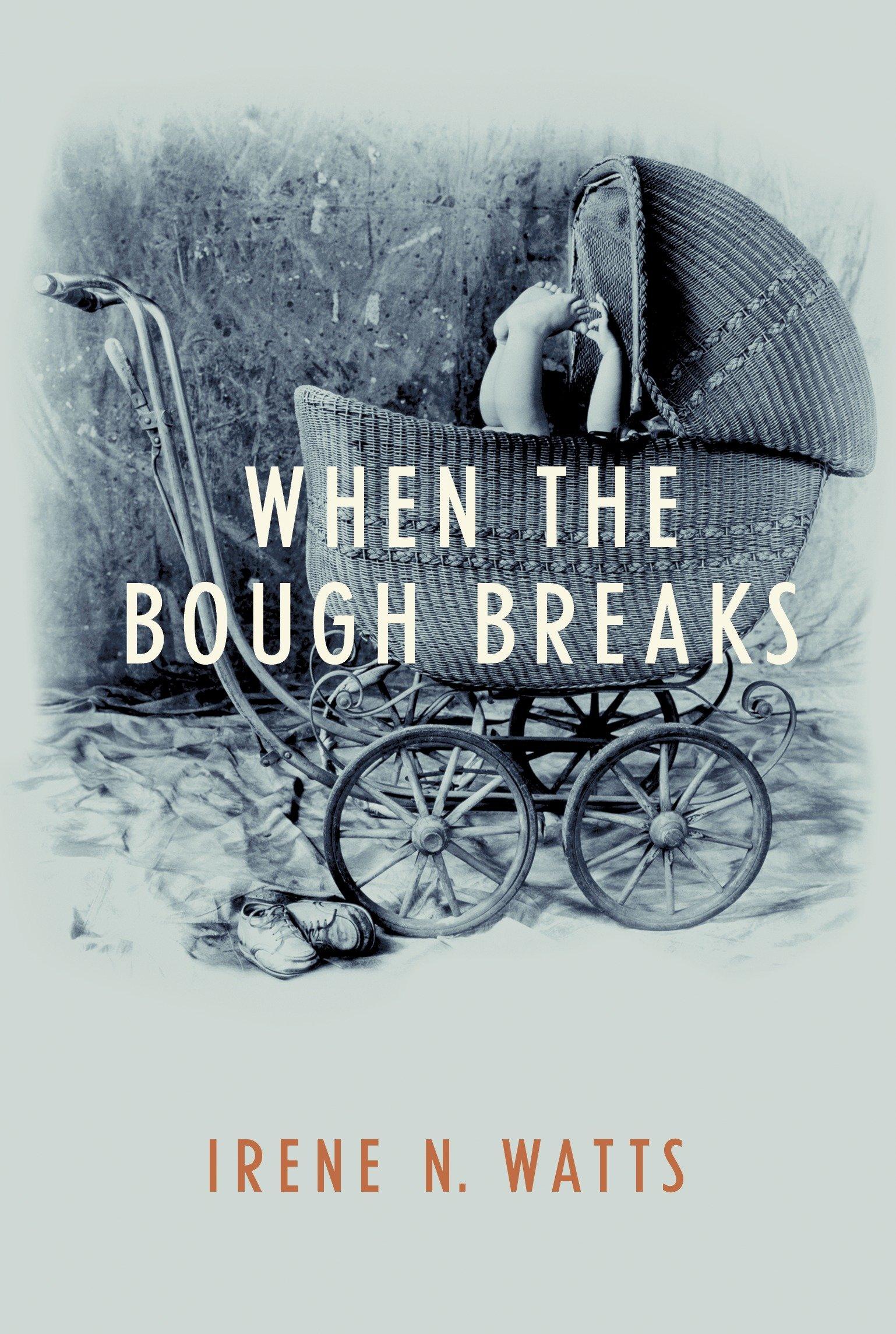 Vorderes Coverbild When the Bough Breaks