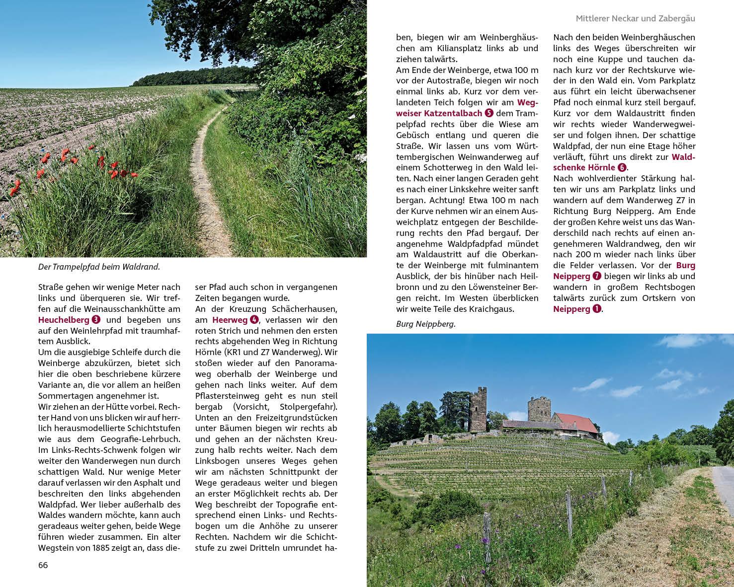 Beispielinhalt (Bild) Wandern und Einkehren - Heilbronner Land