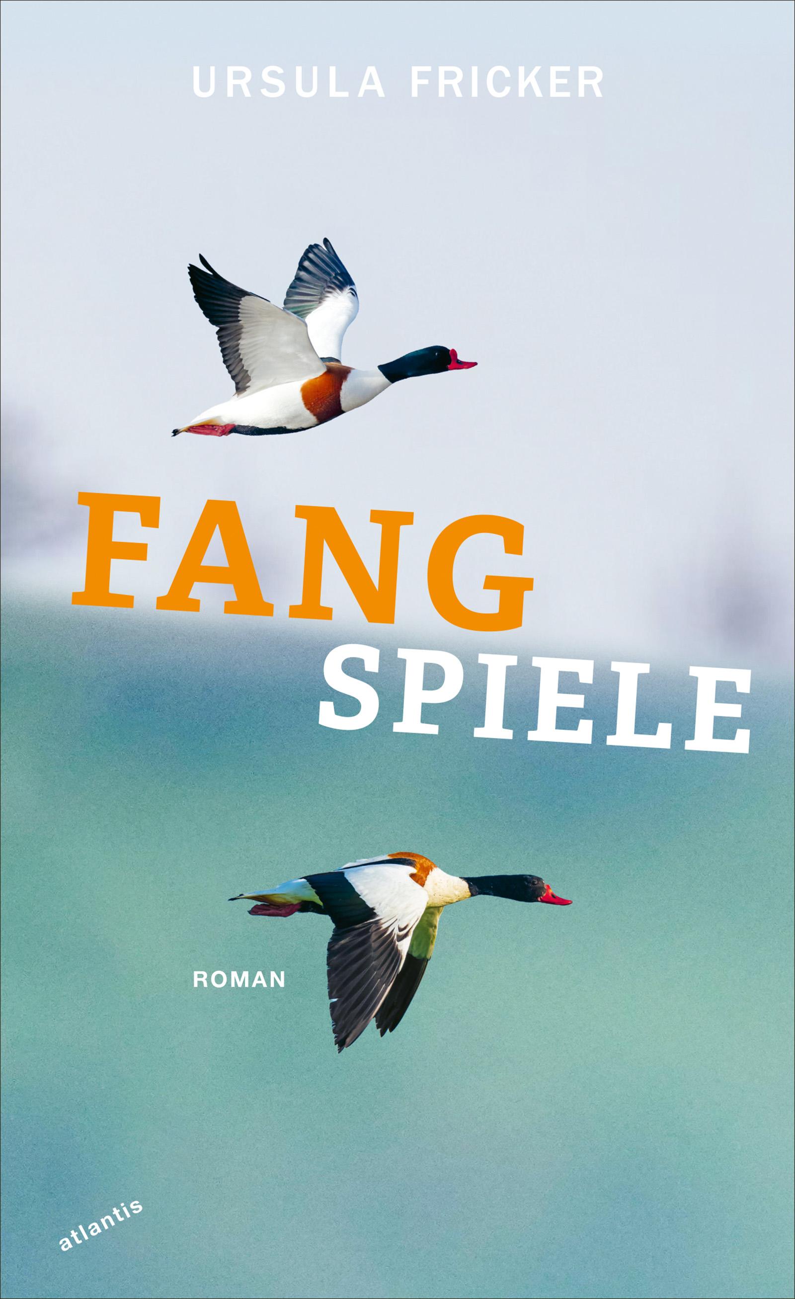 Vorderes Coverbild Fangspiele
