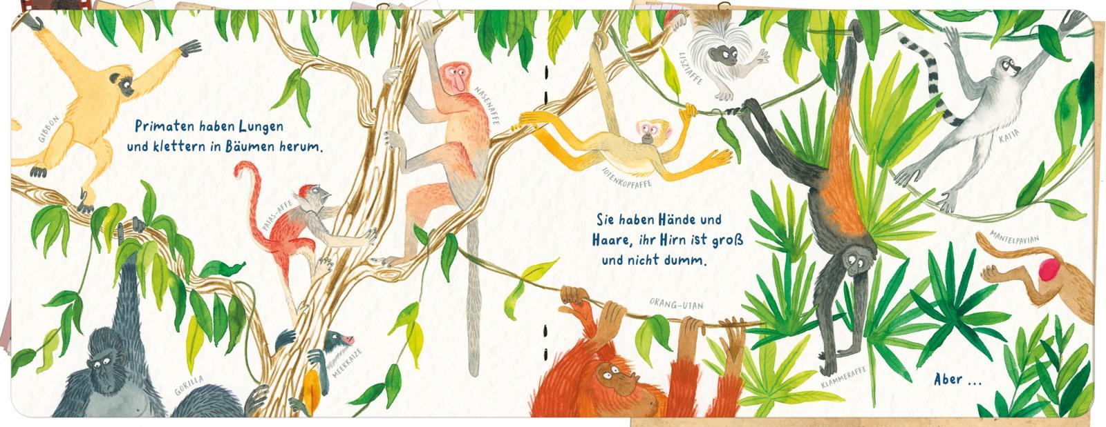 Beispielinhalt (Bild) Abgedrehte Affen