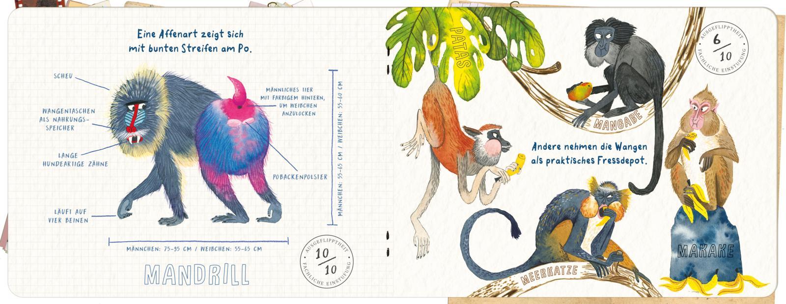 Beispielinhalt (Bild) Abgedrehte Affen