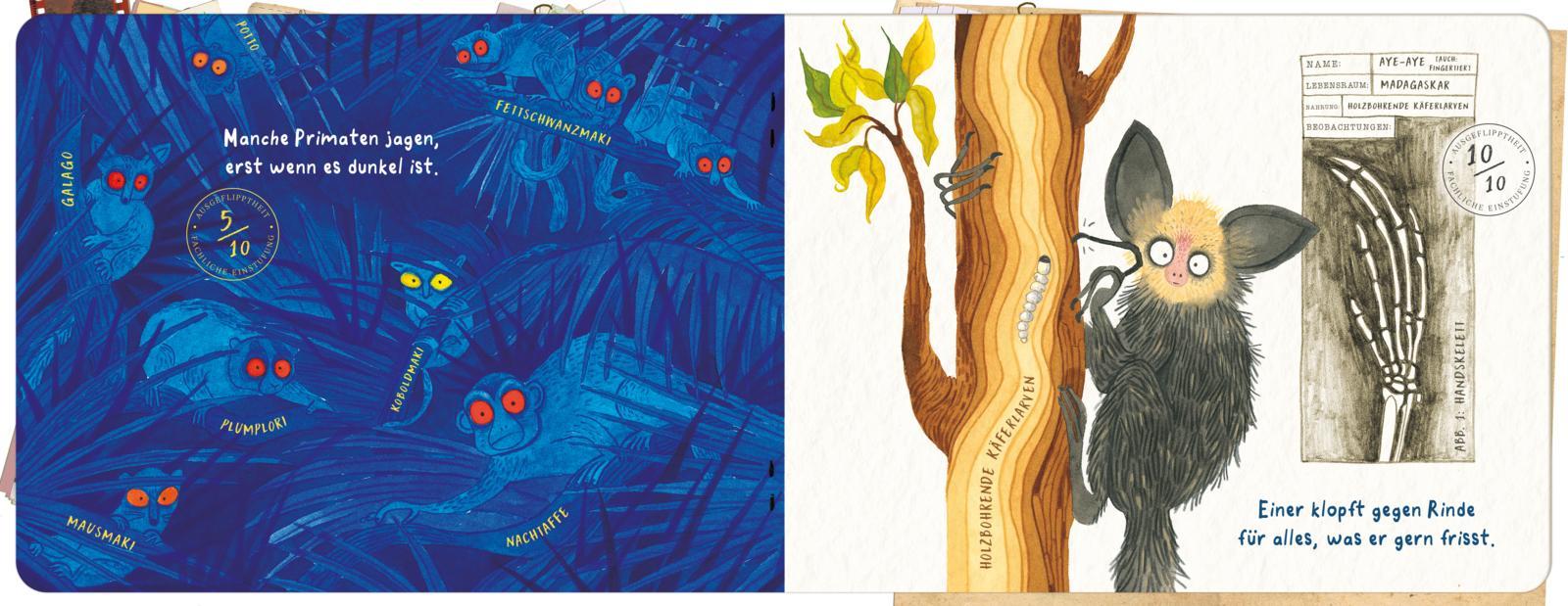 Beispielinhalt (Bild) Abgedrehte Affen