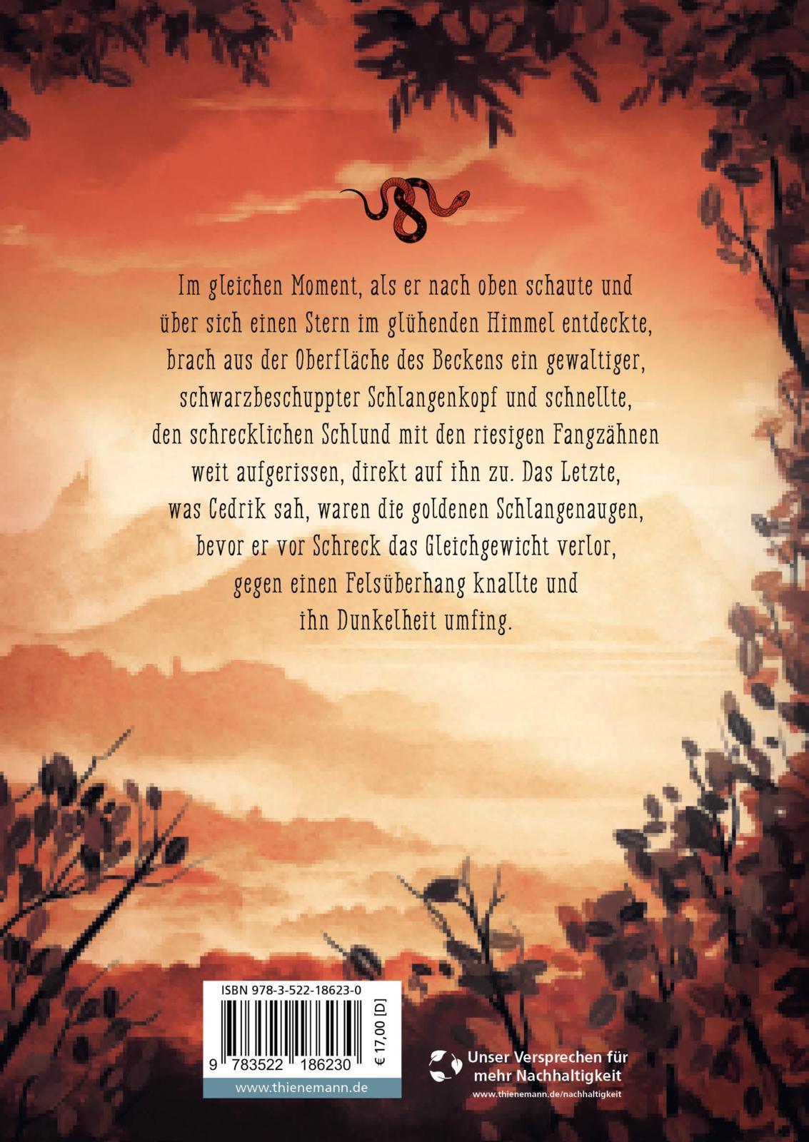 Rückseitencover Der Druide von Mistle End 2: Der Zorn der Götter