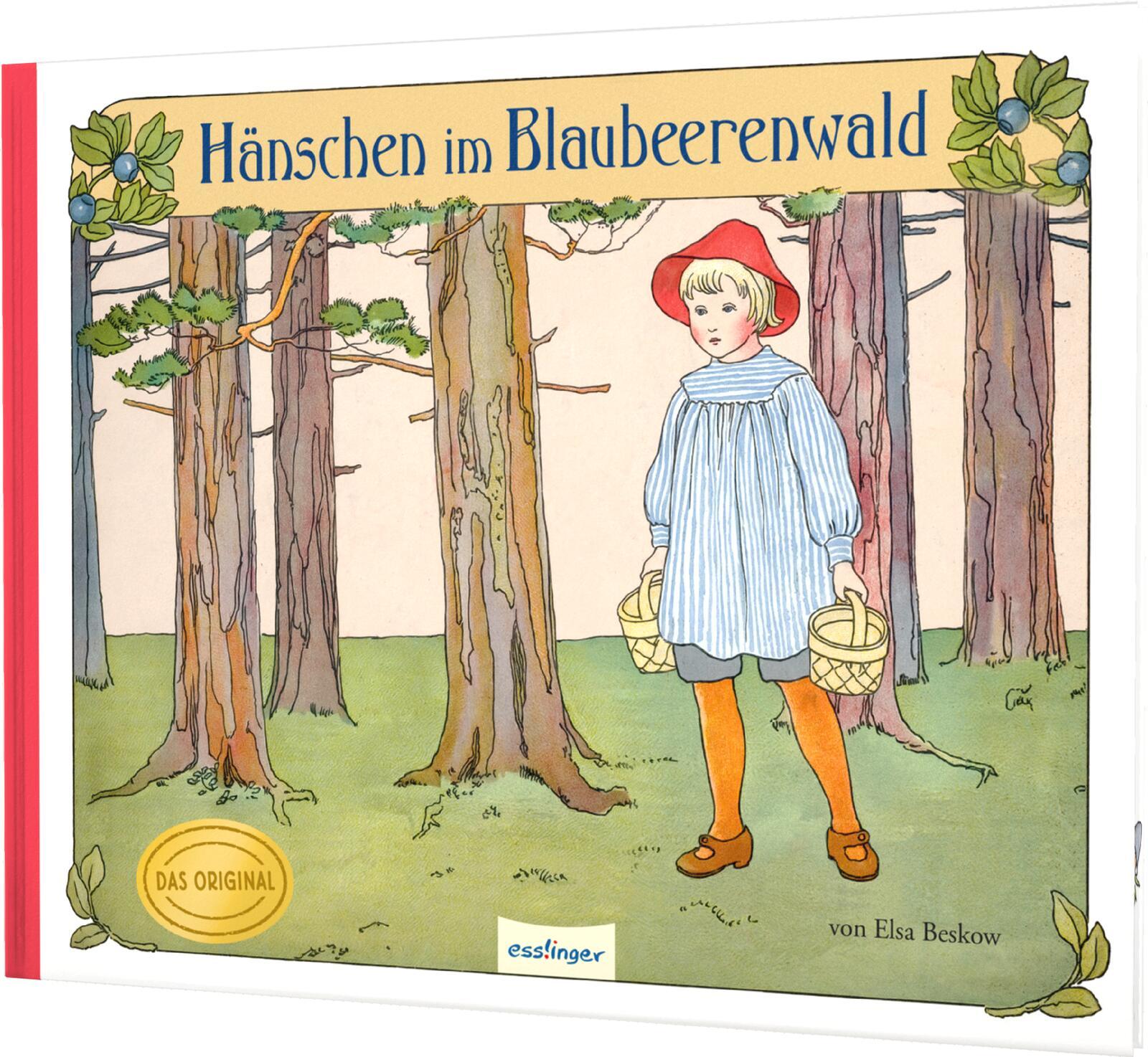 Vorderes Coverbild Hänschen im Blaubeerenwald