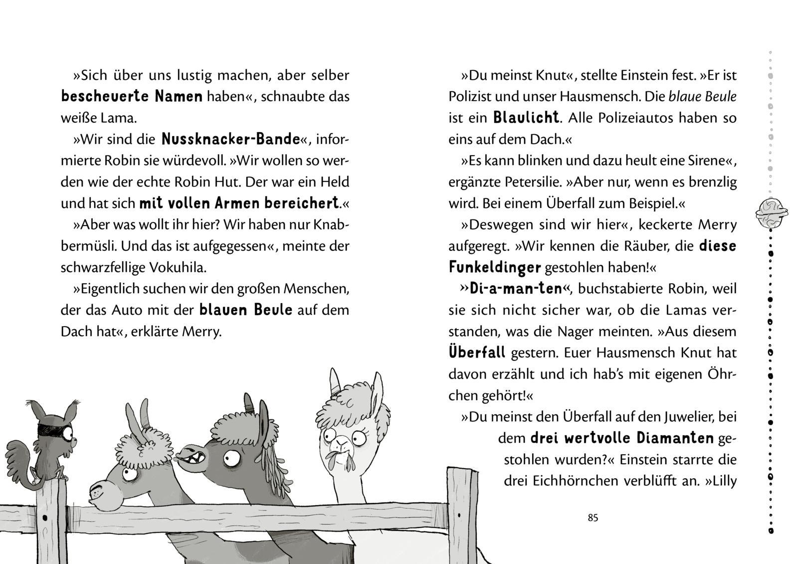 Beispielinhalt (Bild) Nussknacker-Bande 1: Drei Chaoten auf vier Pfoten