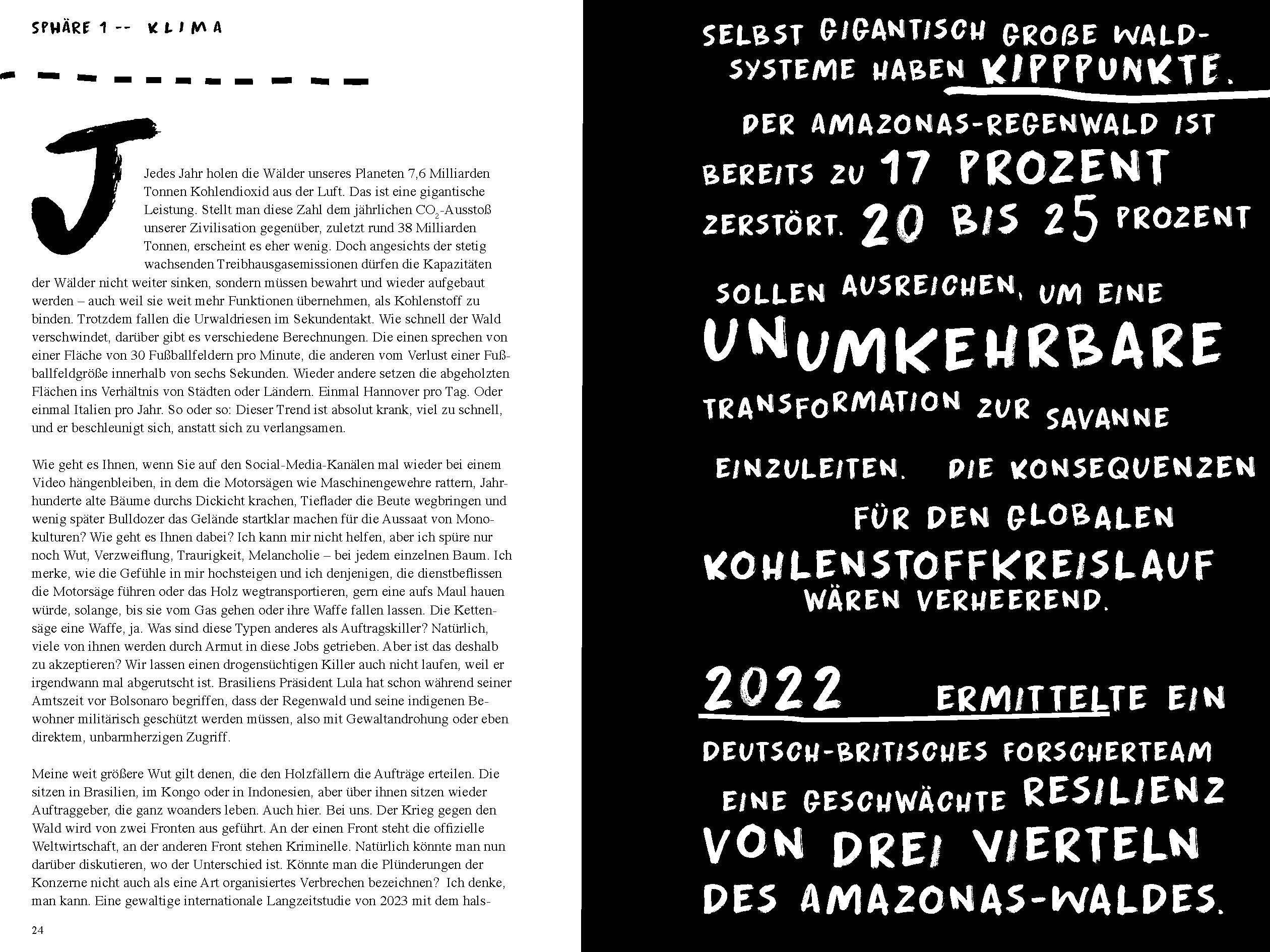 Beispielinhalt (Bild) Unsere entscheidenden Jahre