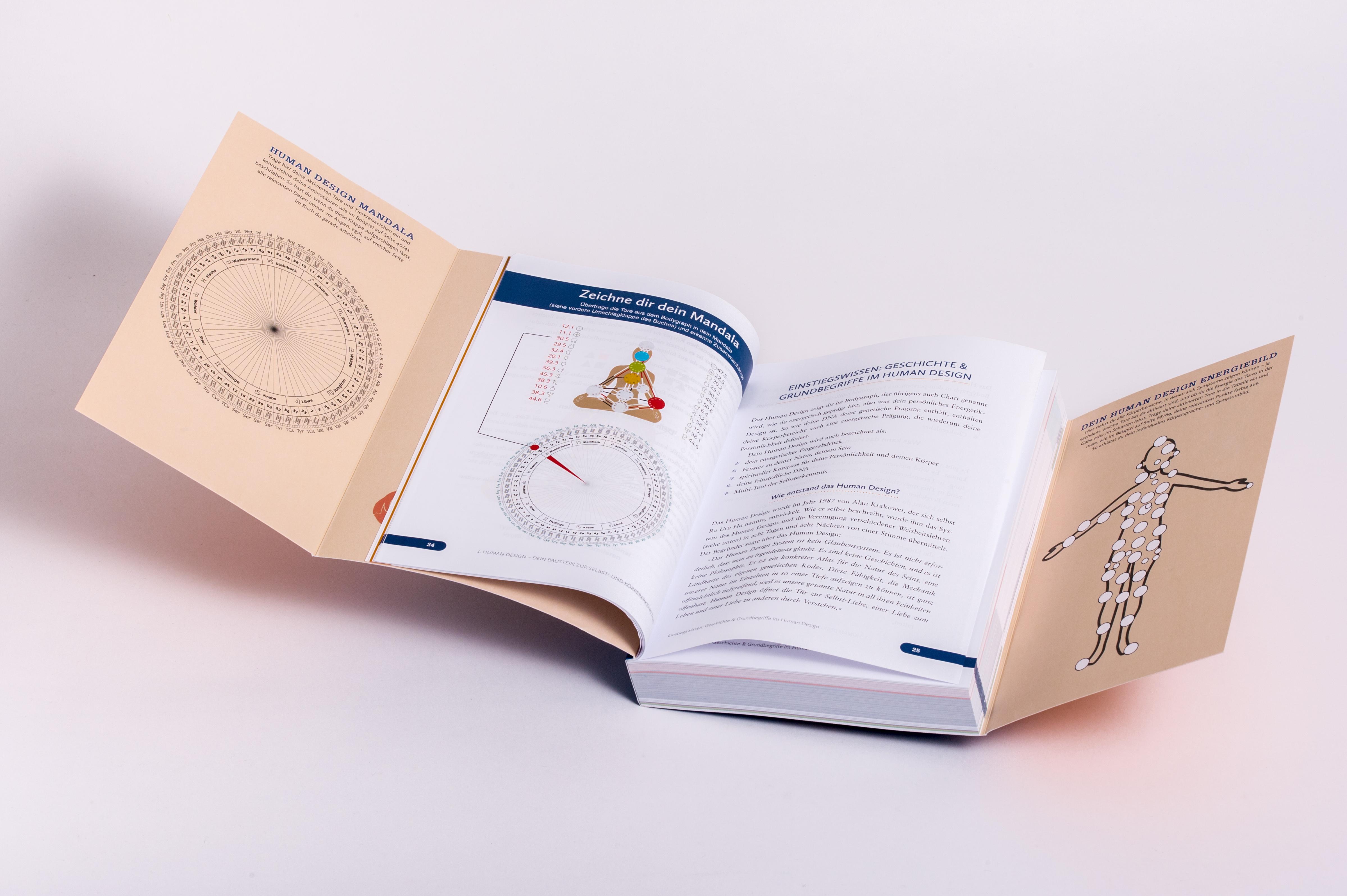 Beispielinhalt (Bild) Der Human Design Gesundheitskompass