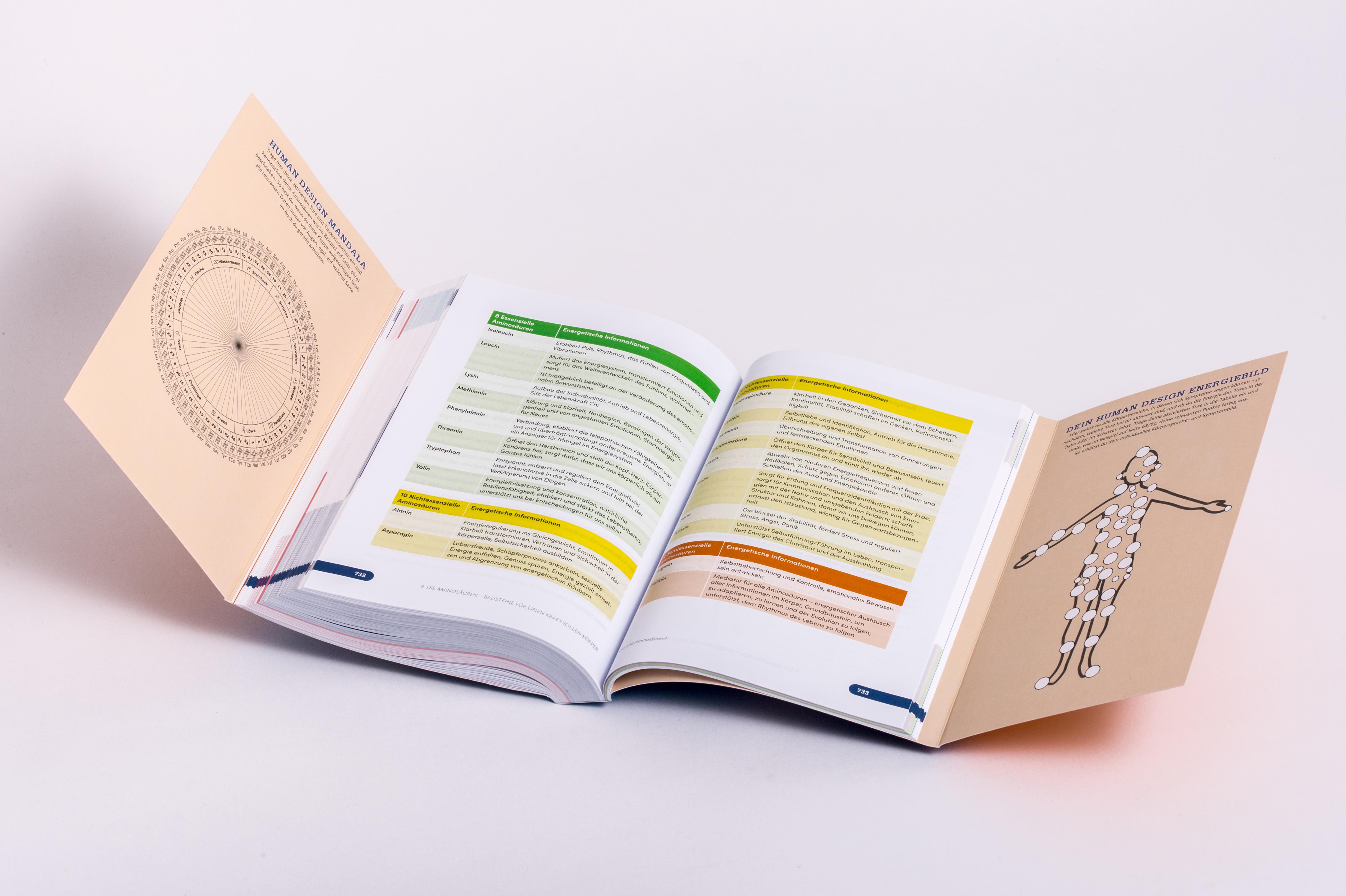 Beispielinhalt (Bild) Der Human Design Gesundheitskompass