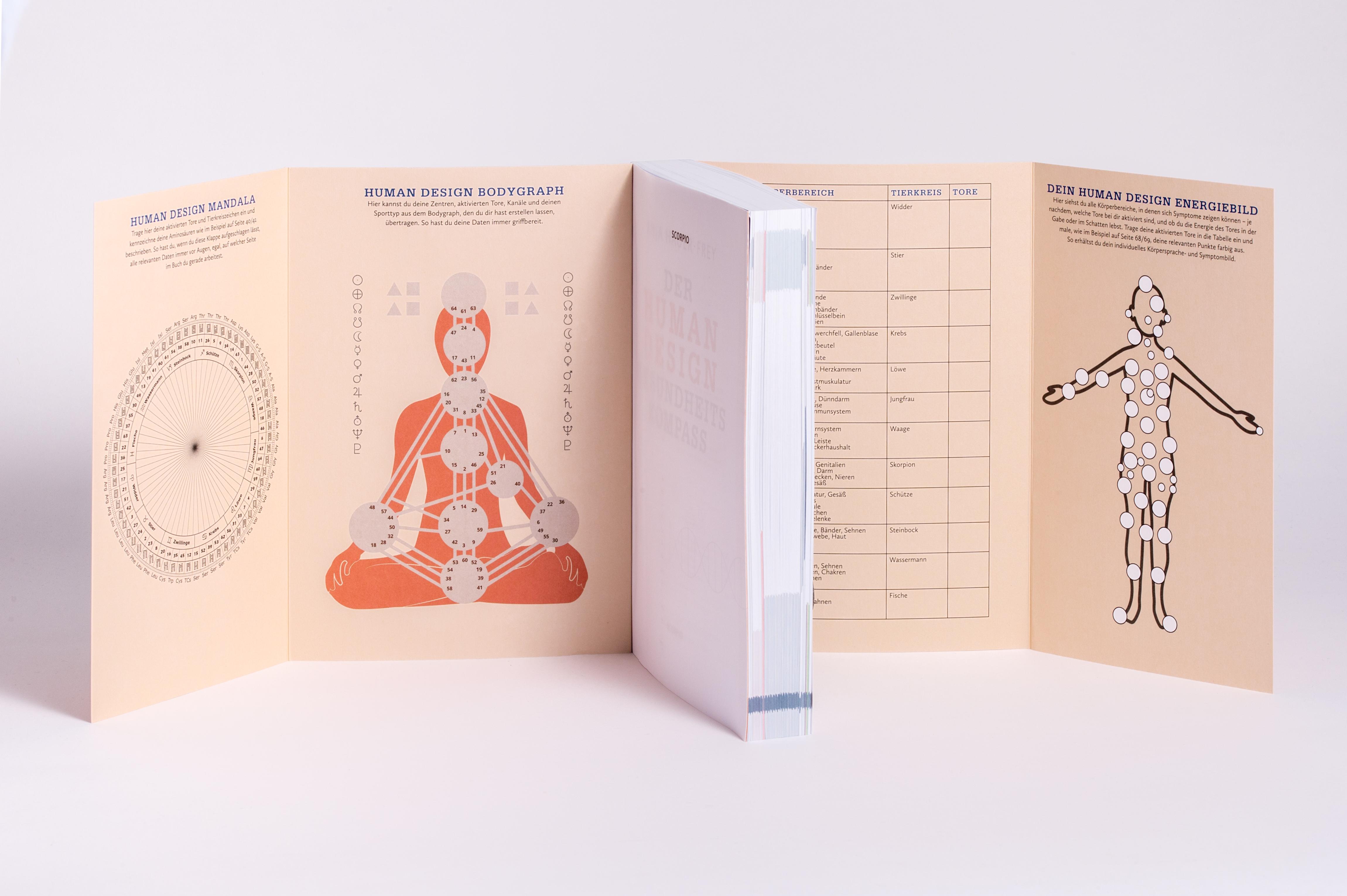 Beispielinhalt (Bild) Der Human Design Gesundheitskompass