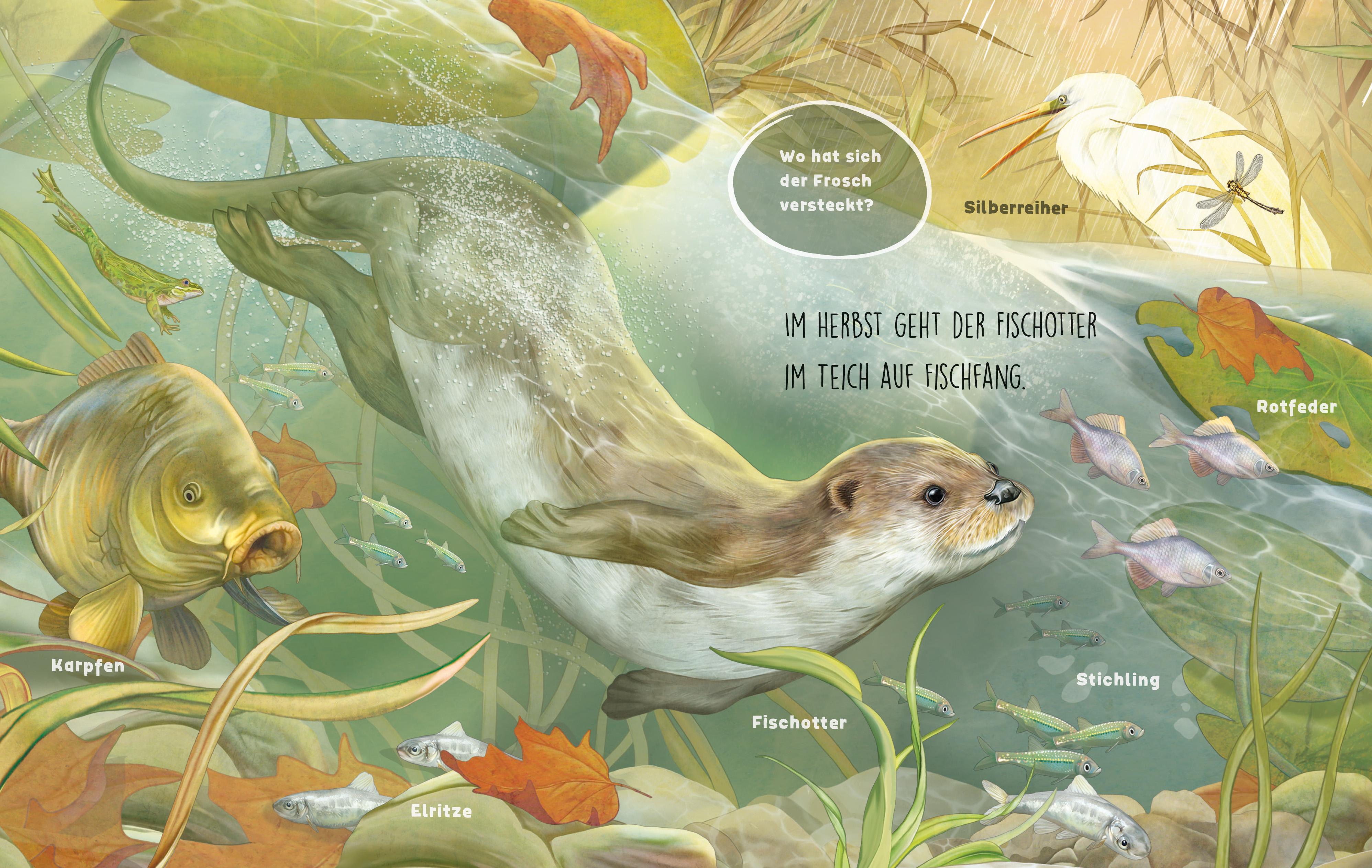 Beispielinhalt (Bild) Es tummelt sich was am Teich