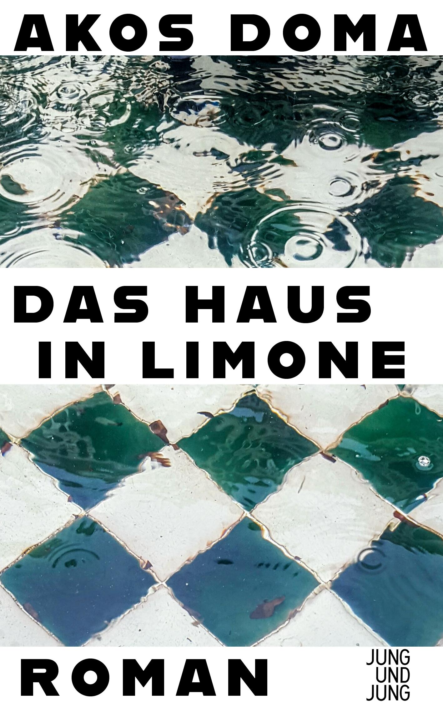 Vorderes Coverbild Das Haus in Limone