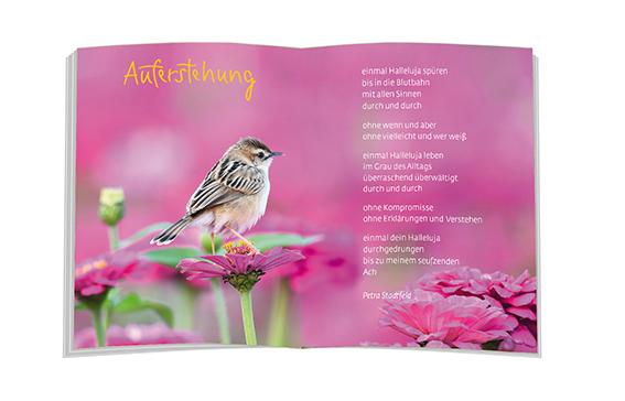 Beispielinhalt (Bild) Ostersegen