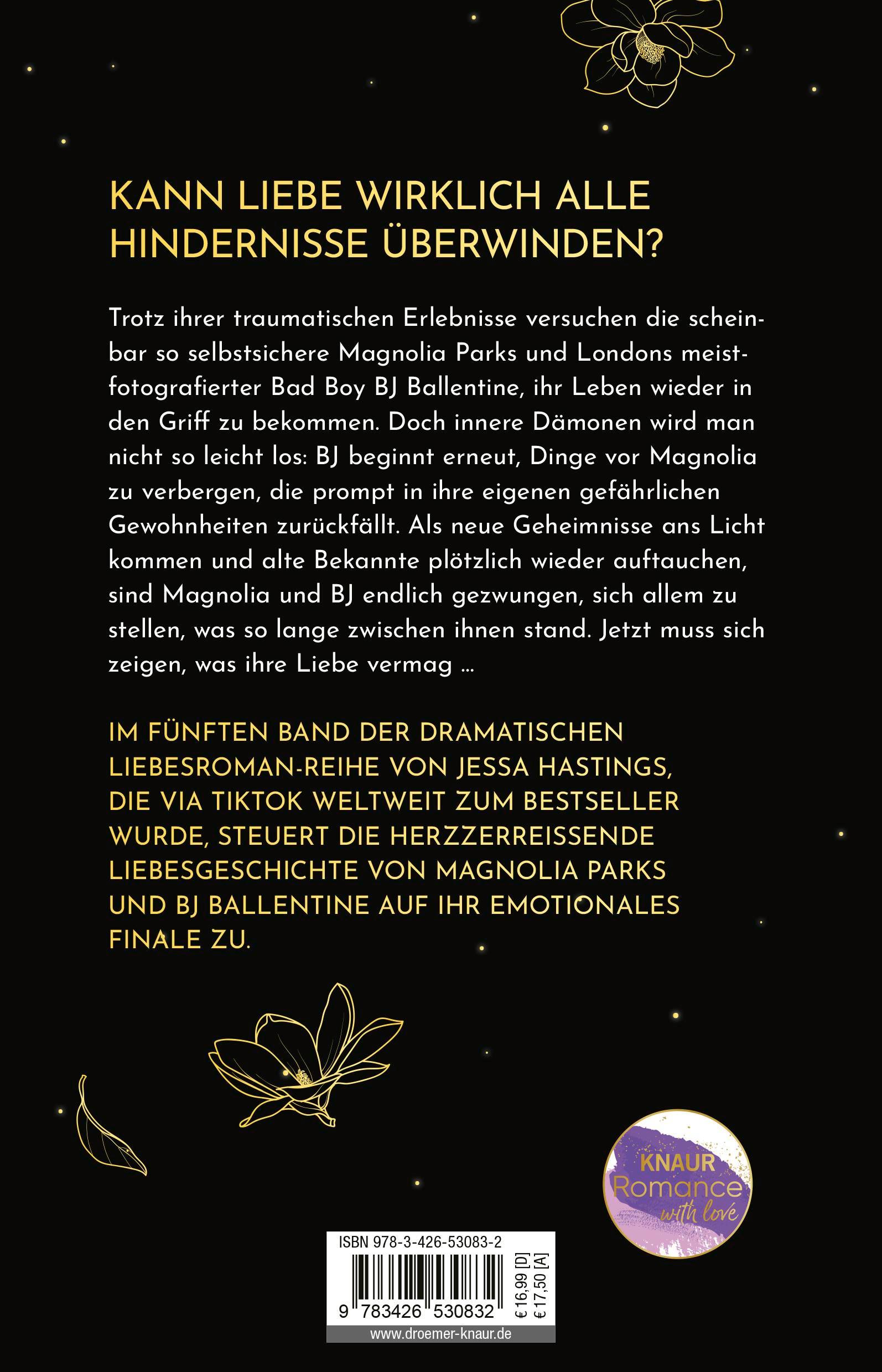 Rückseitencover Magnolia Parks - Into the Dark