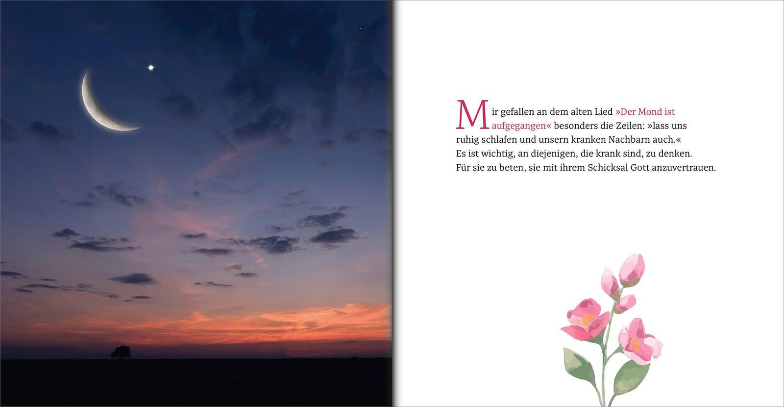 Beispielinhalt (Bild) Gute Besserung