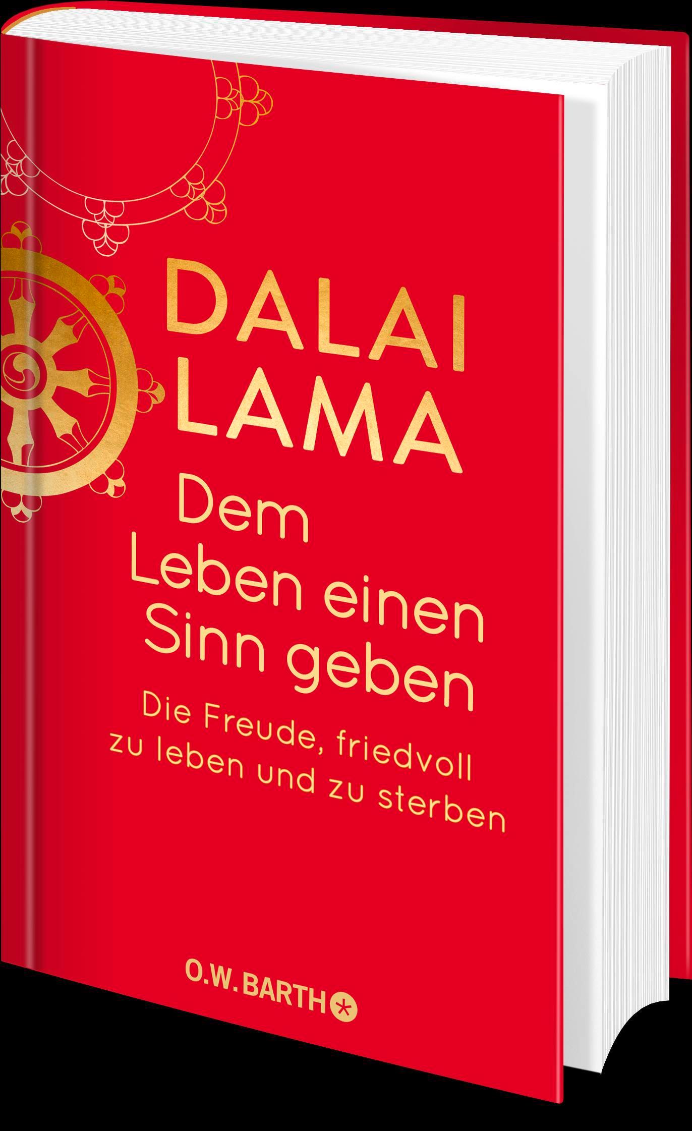 Beispielinhalt (Bild) Dem Leben einen Sinn geben