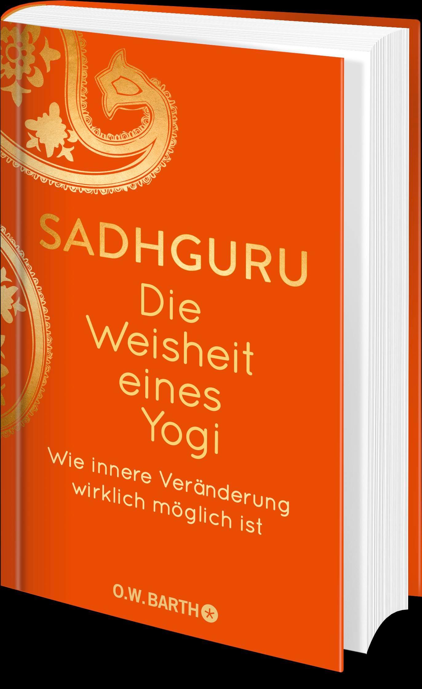 Beispielinhalt (Bild) Die Weisheit eines Yogi