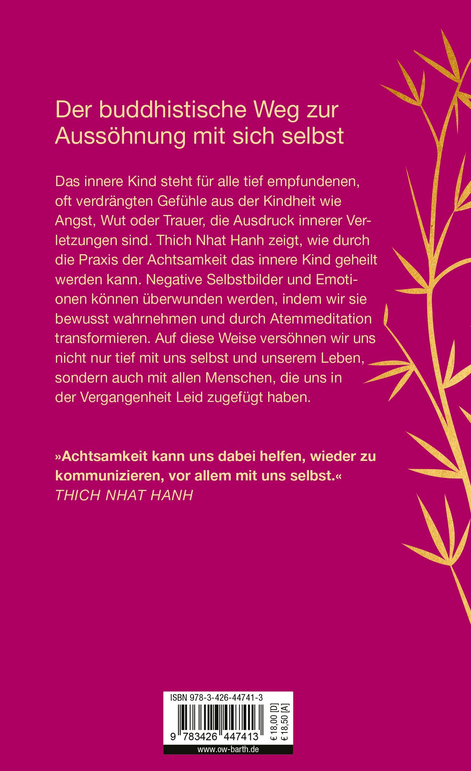 Rückseitencover Versöhnung mit dem inneren Kind