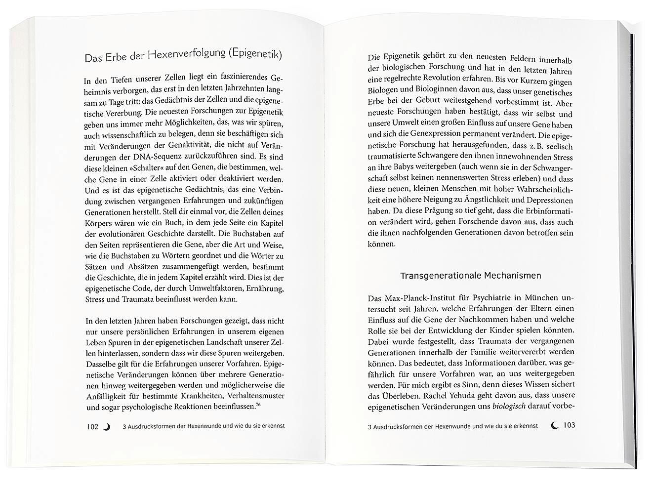 Beispielinhalt (Bild) Die Hexenwunde