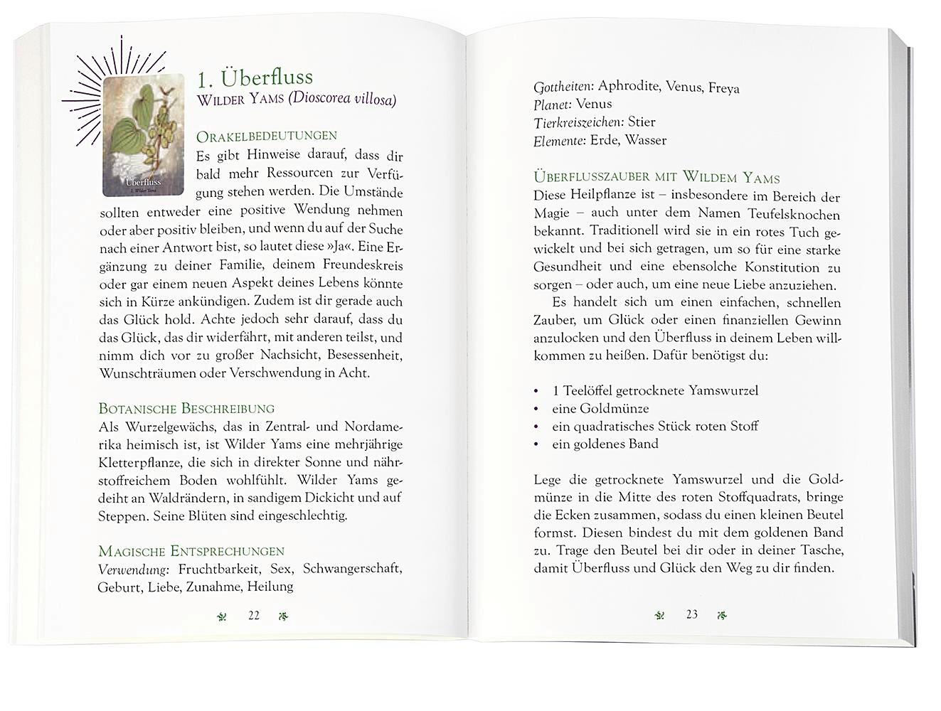 Beispielinhalt (Bild) Das magische Orakel der Heilpflanzen