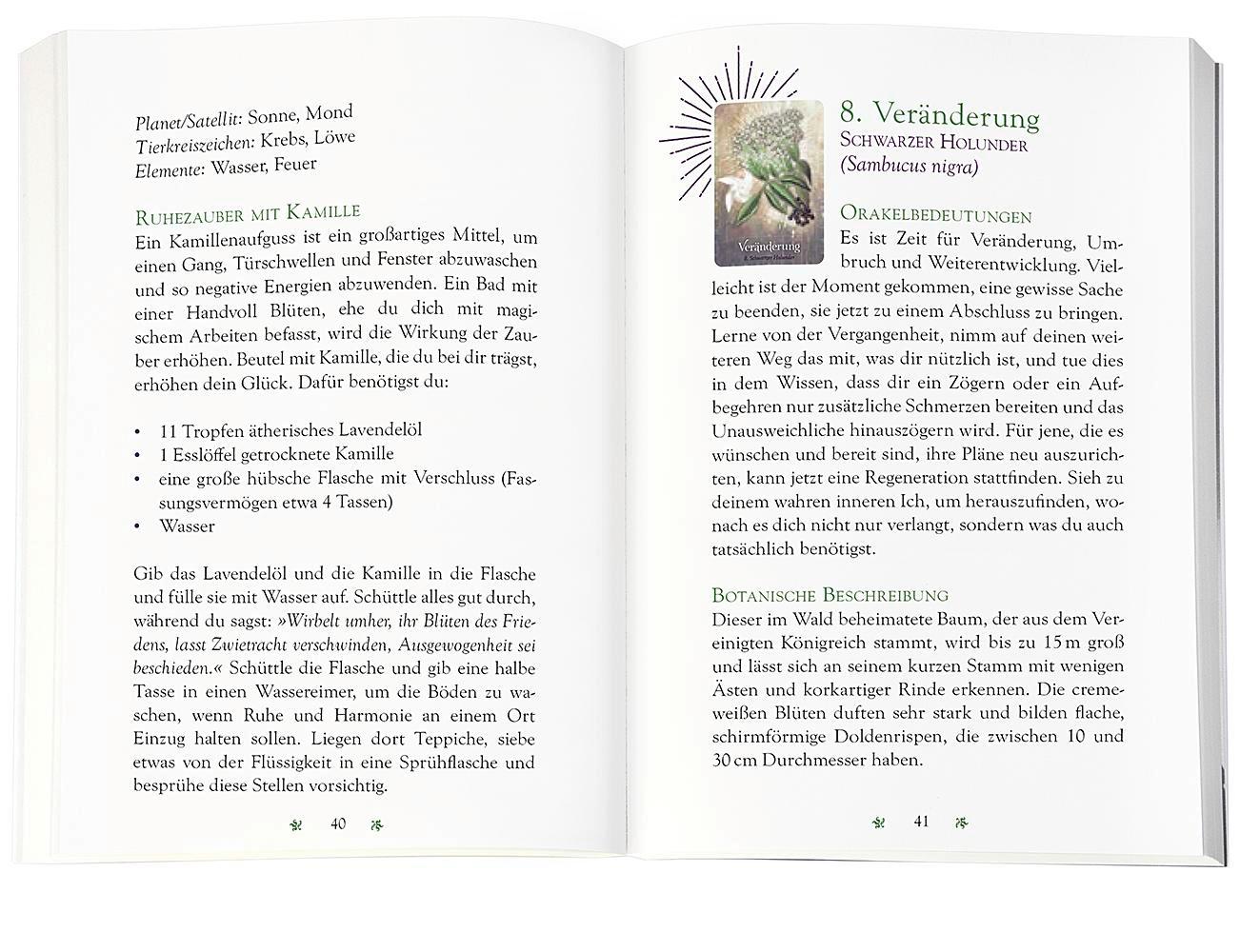 Beispielinhalt (Bild) Das magische Orakel der Heilpflanzen