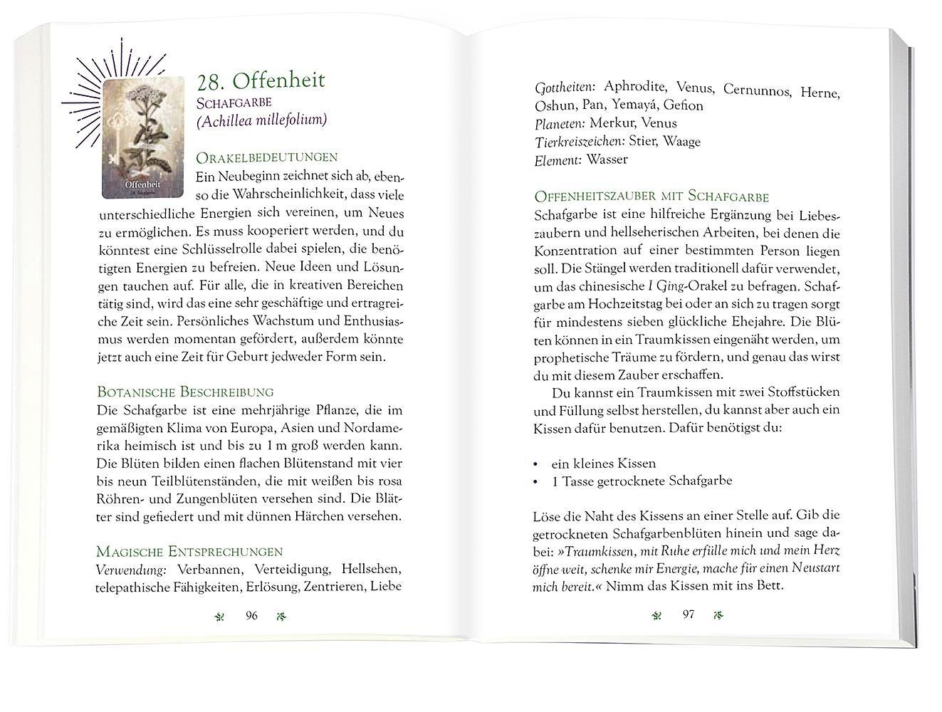 Beispielinhalt (Bild) Das magische Orakel der Heilpflanzen