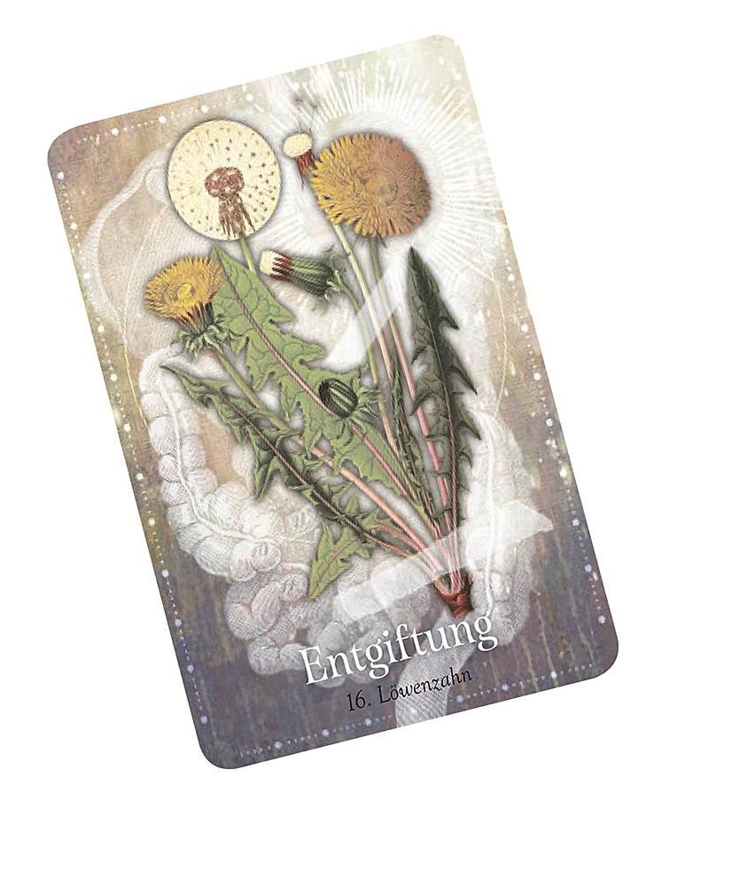 Beispielinhalt (Bild) Das magische Orakel der Heilpflanzen