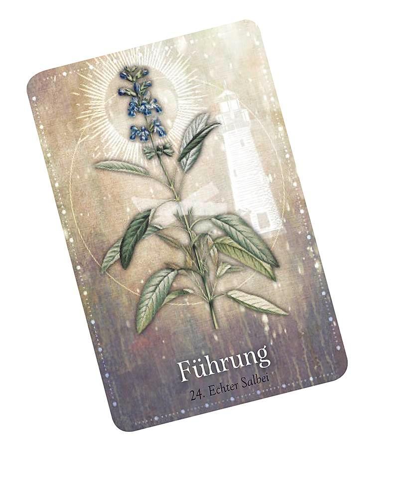 Beispielinhalt (Bild) Das magische Orakel der Heilpflanzen