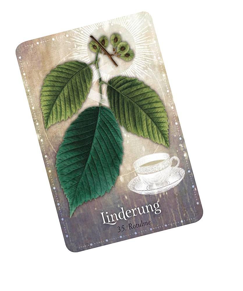 Beispielinhalt (Bild) Das magische Orakel der Heilpflanzen