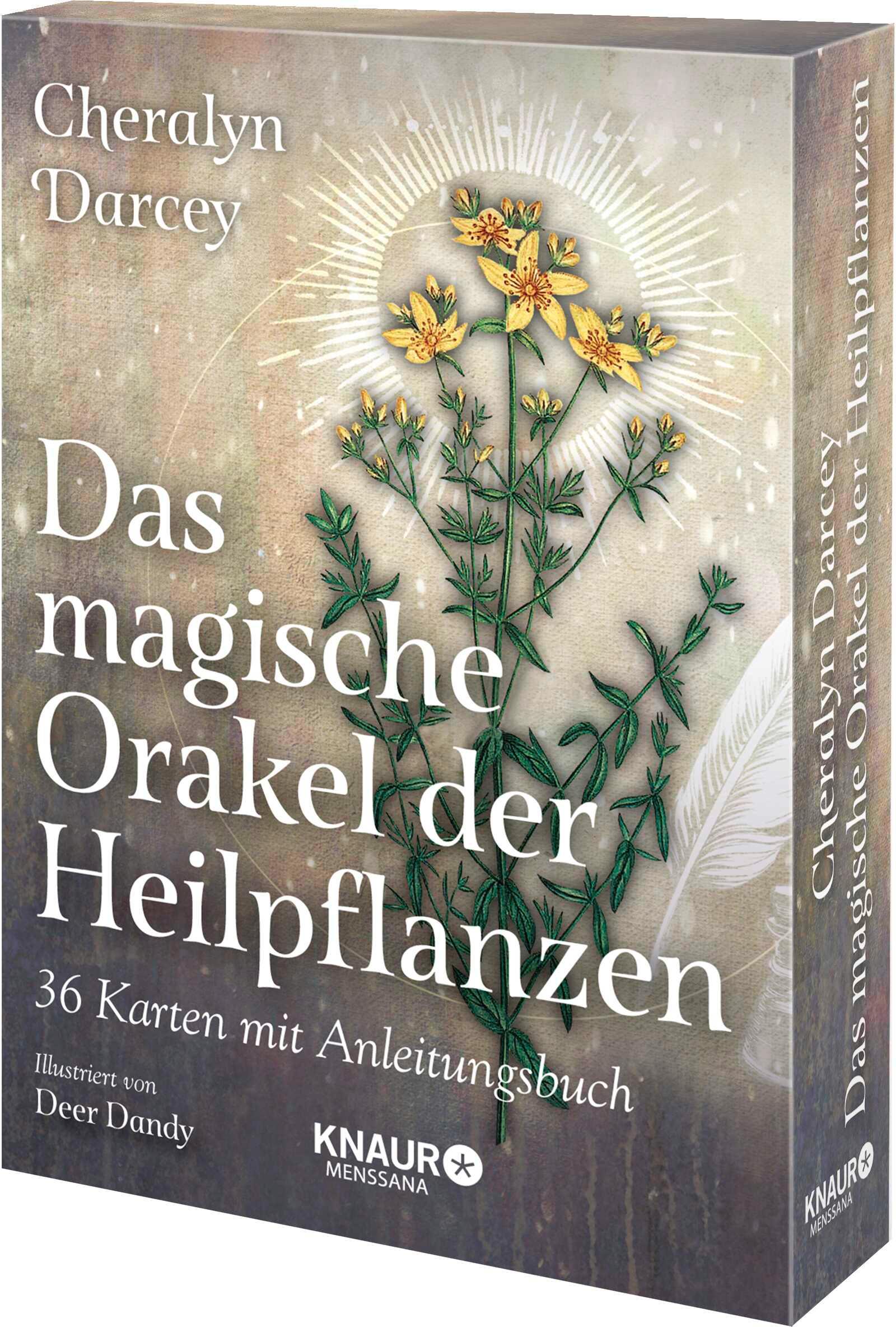 Vorderes Coverbild Das magische Orakel der Heilpflanzen