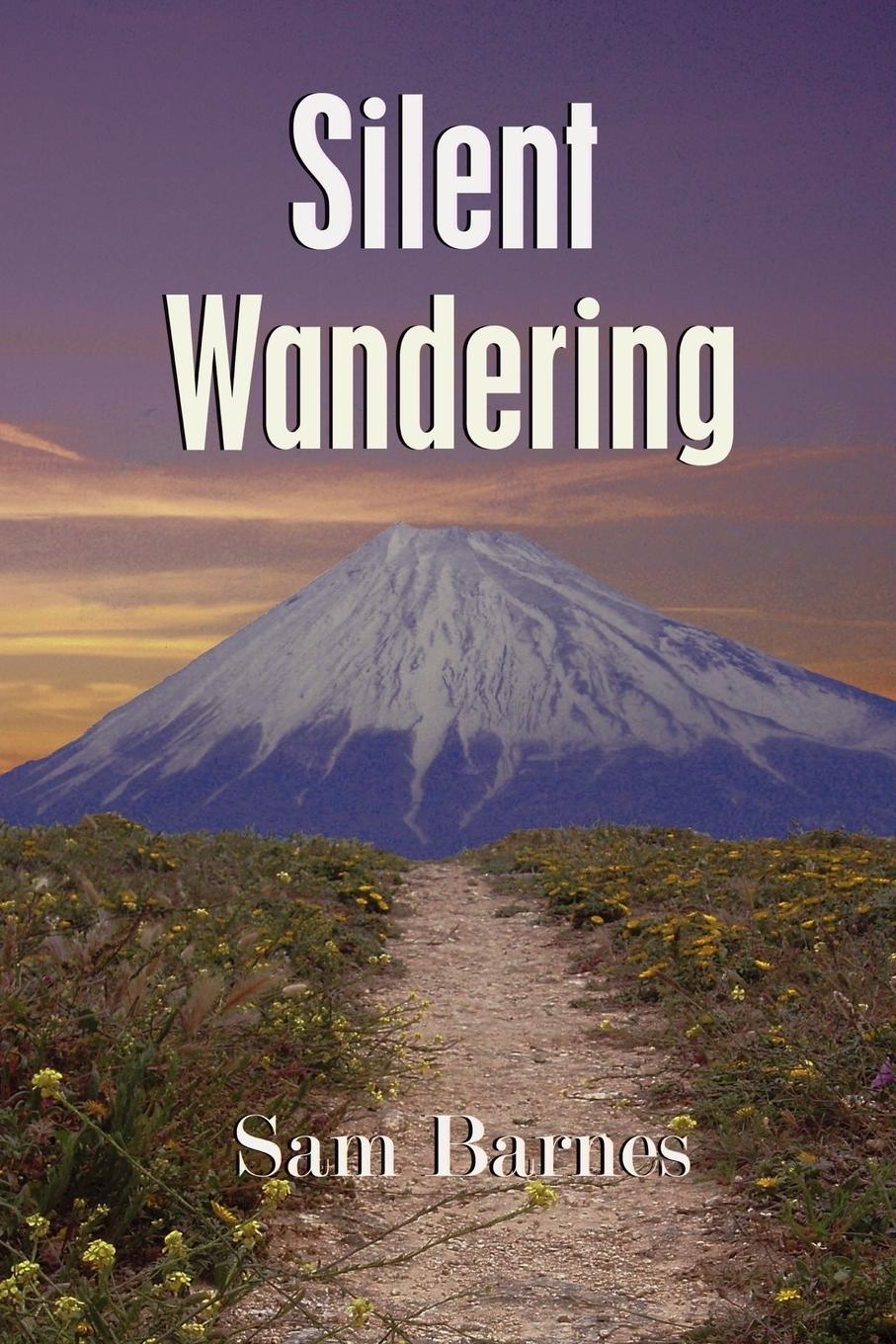 Vorderes Coverbild Silent Wandering