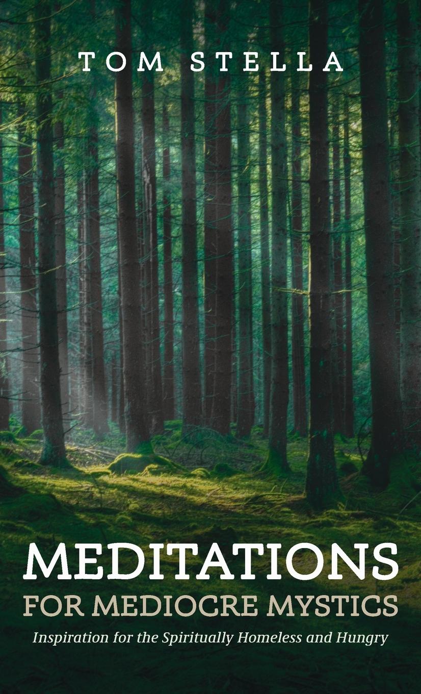 Vorderes Coverbild Meditations for Mediocre Mystics