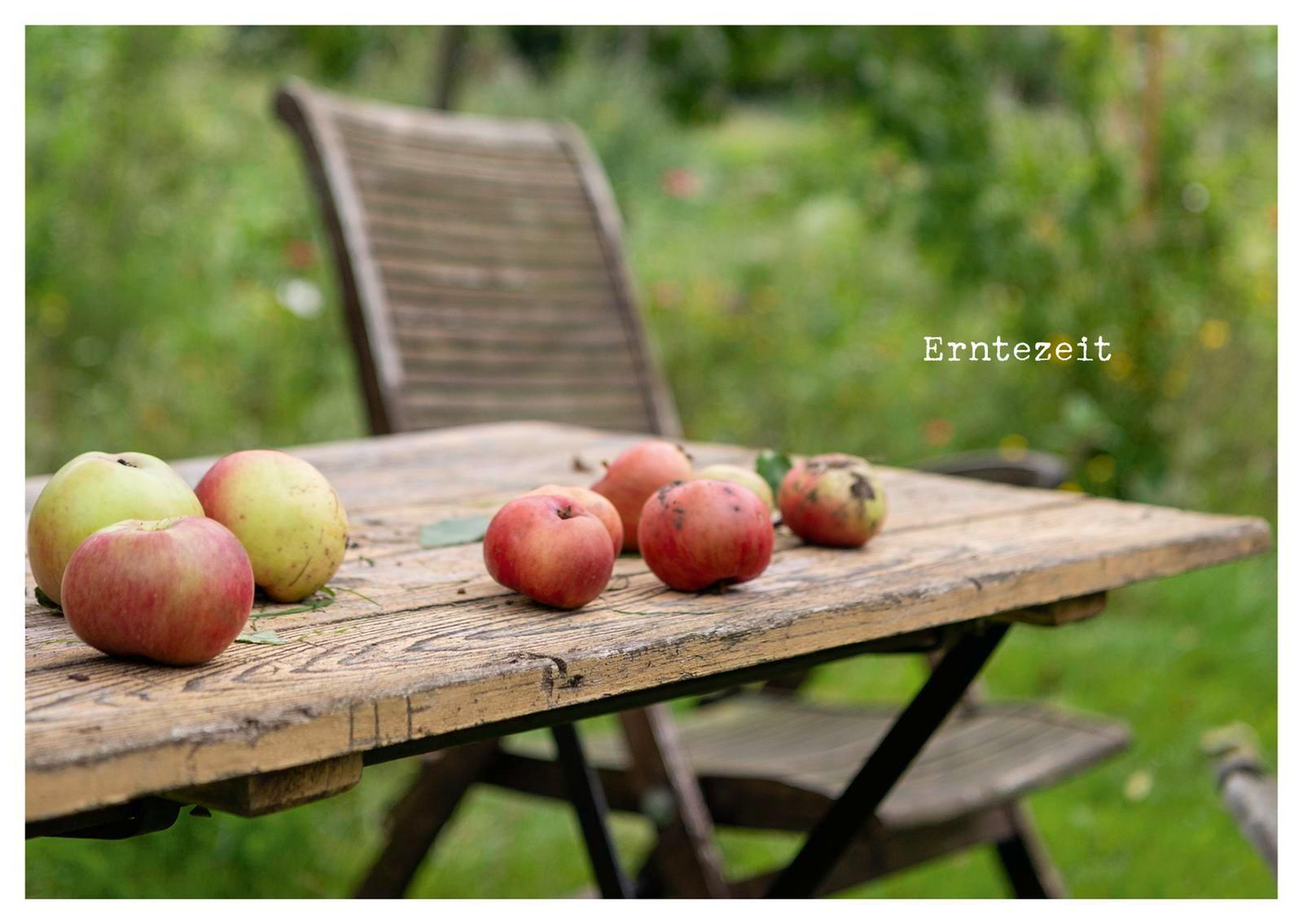 Beispielinhalt (Bild) kleine Geste - Postkartenbuch