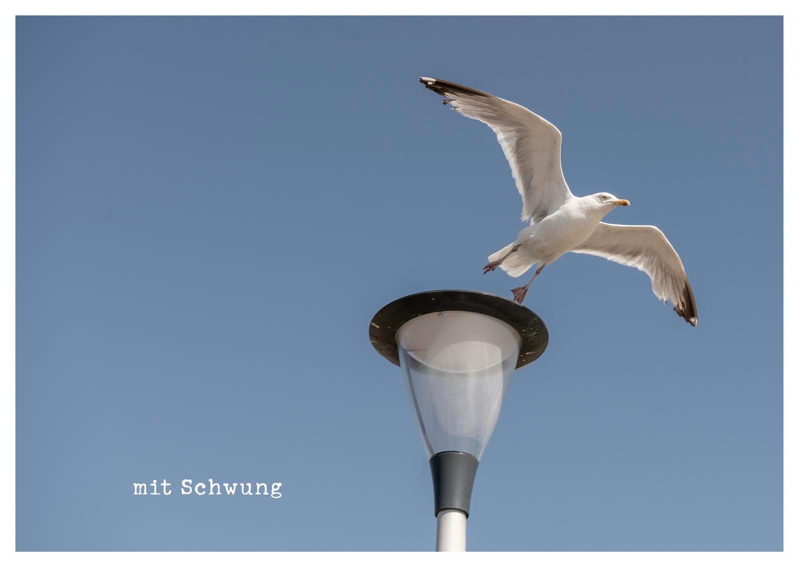 Beispielinhalt (Bild) kleine Geste - Postkartenbuch