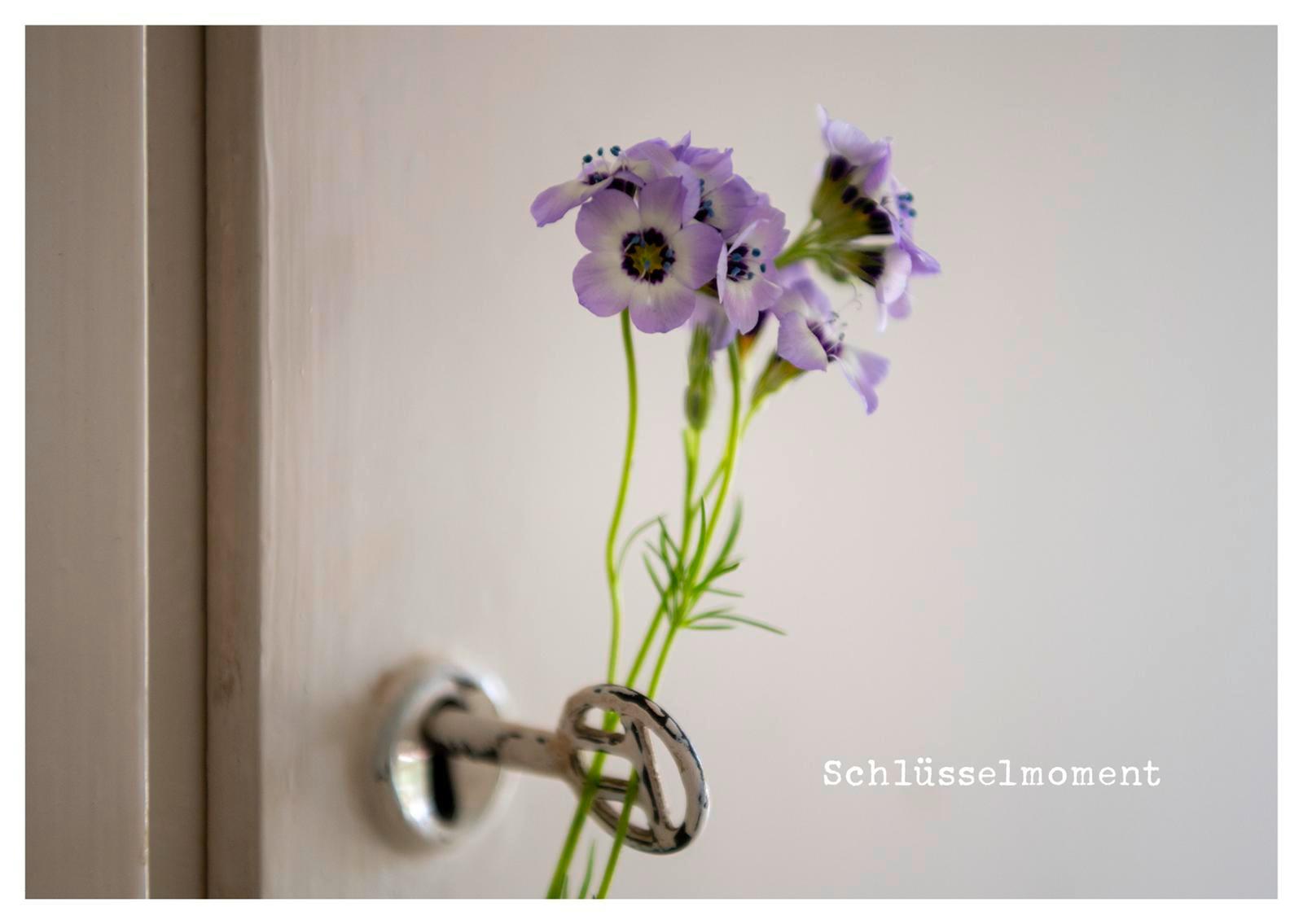 Beispielinhalt (Bild) kleine Geste - Postkartenbuch