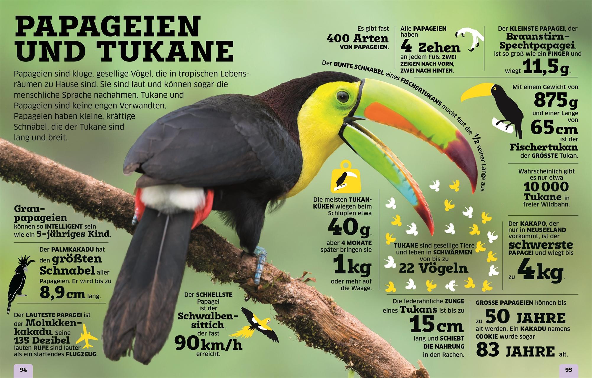 Beispielinhalt (Bild) Unsere Welt in Zahlen. Tiere