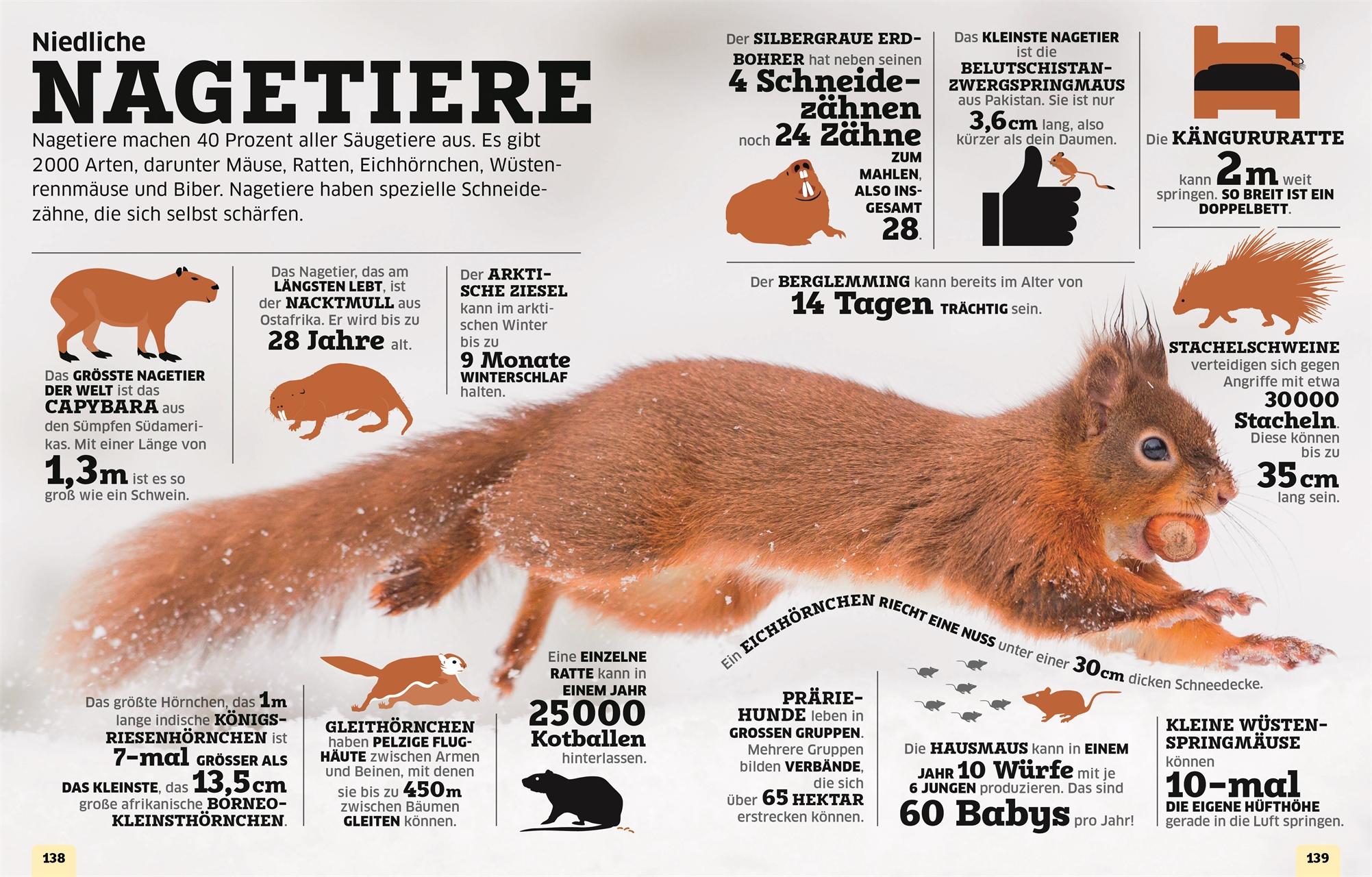 Beispielinhalt (Bild) Unsere Welt in Zahlen. Tiere