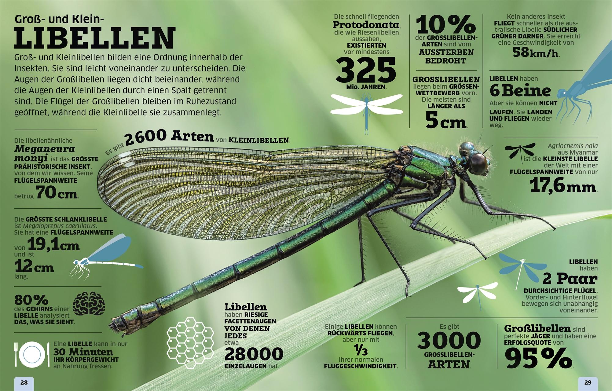 Beispielinhalt (Bild) Unsere Welt in Zahlen. Tiere