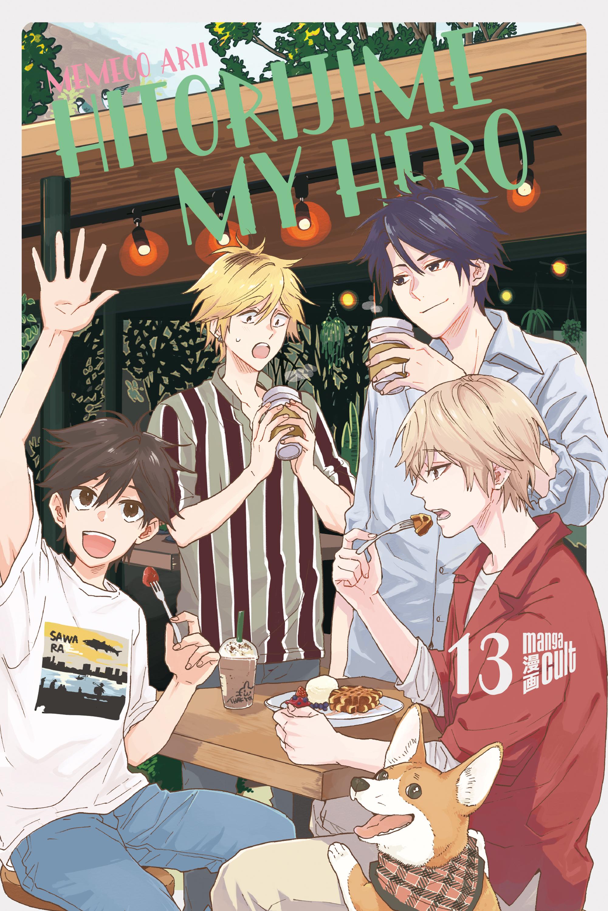 Vorderes Coverbild Hitorijime my Hero 13